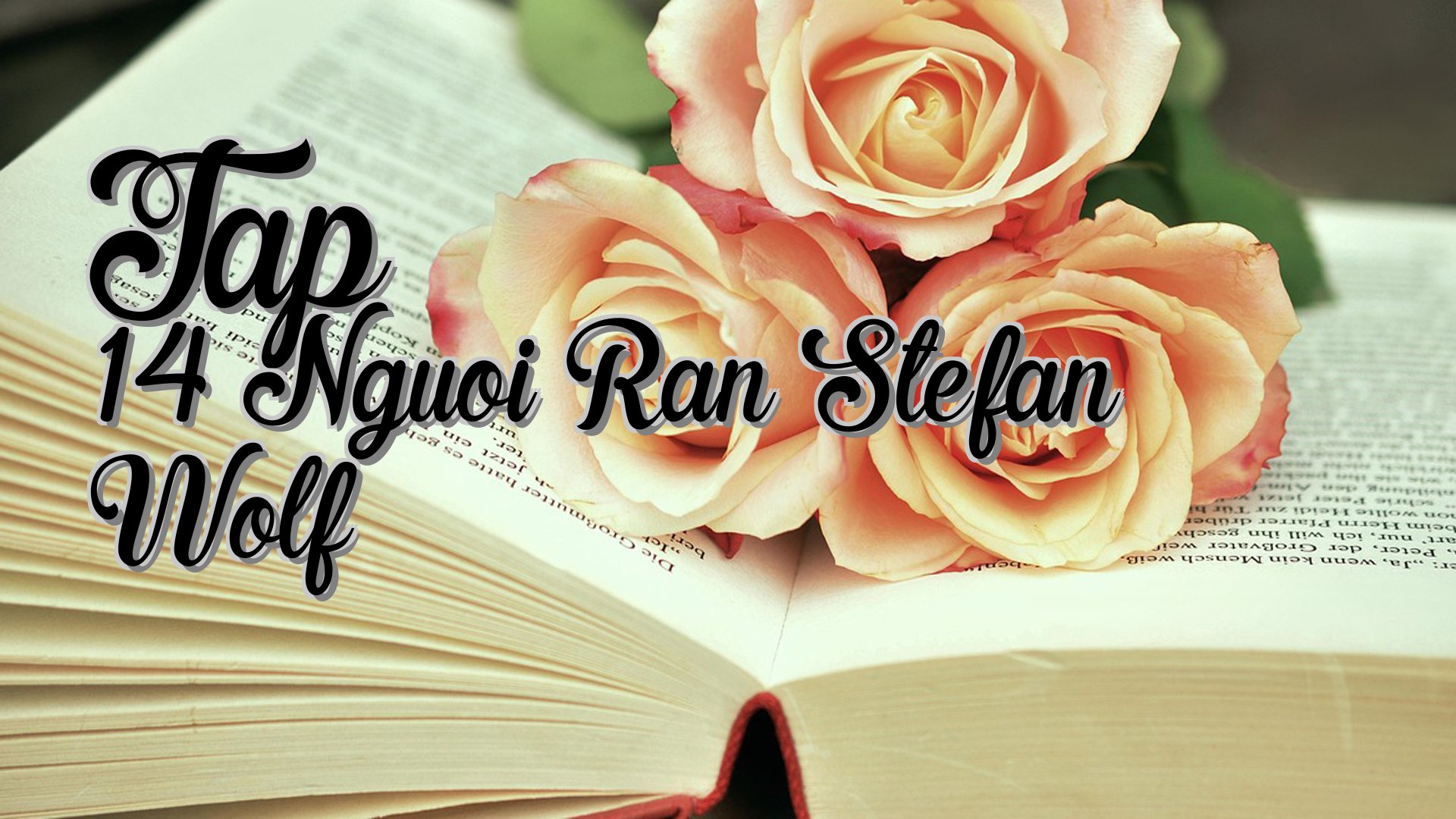 cover-Tap 14 Nguoi Ran Stefan Wolf