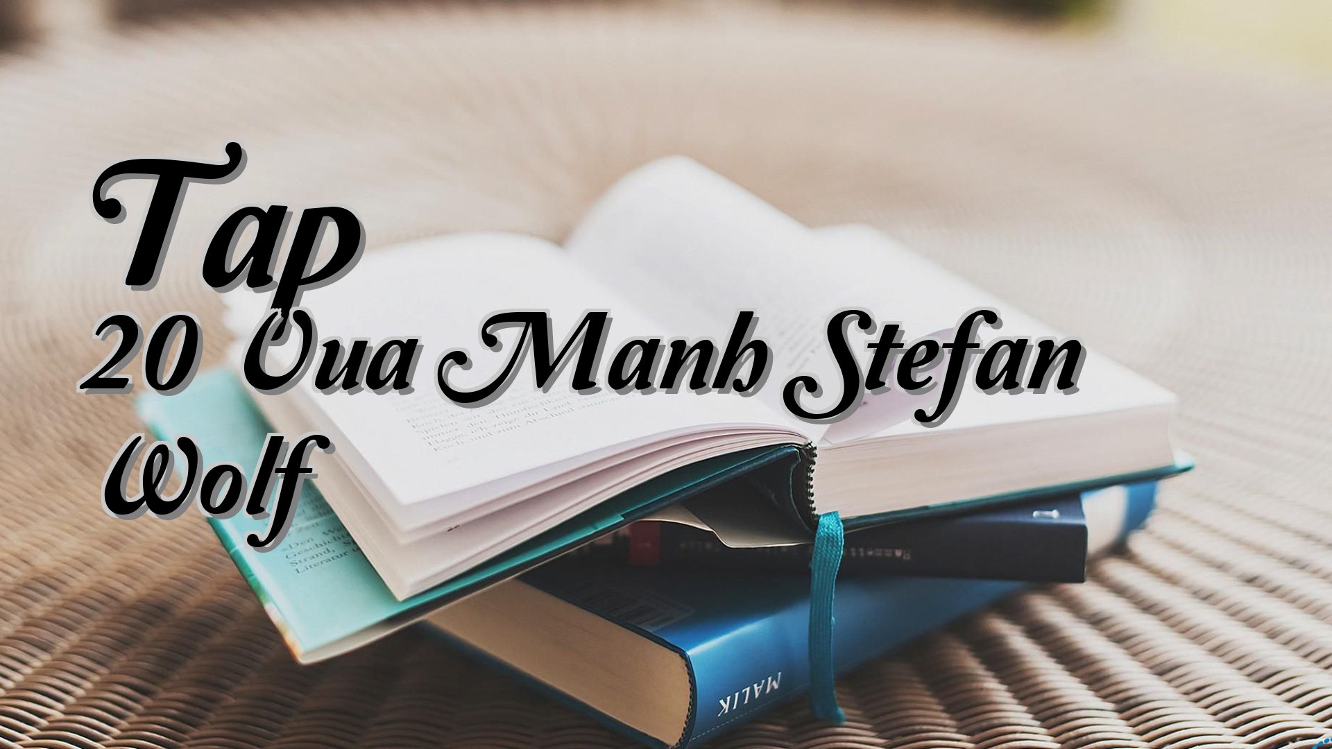 cover-Tap 20 Vua Manh Stefan Wolf