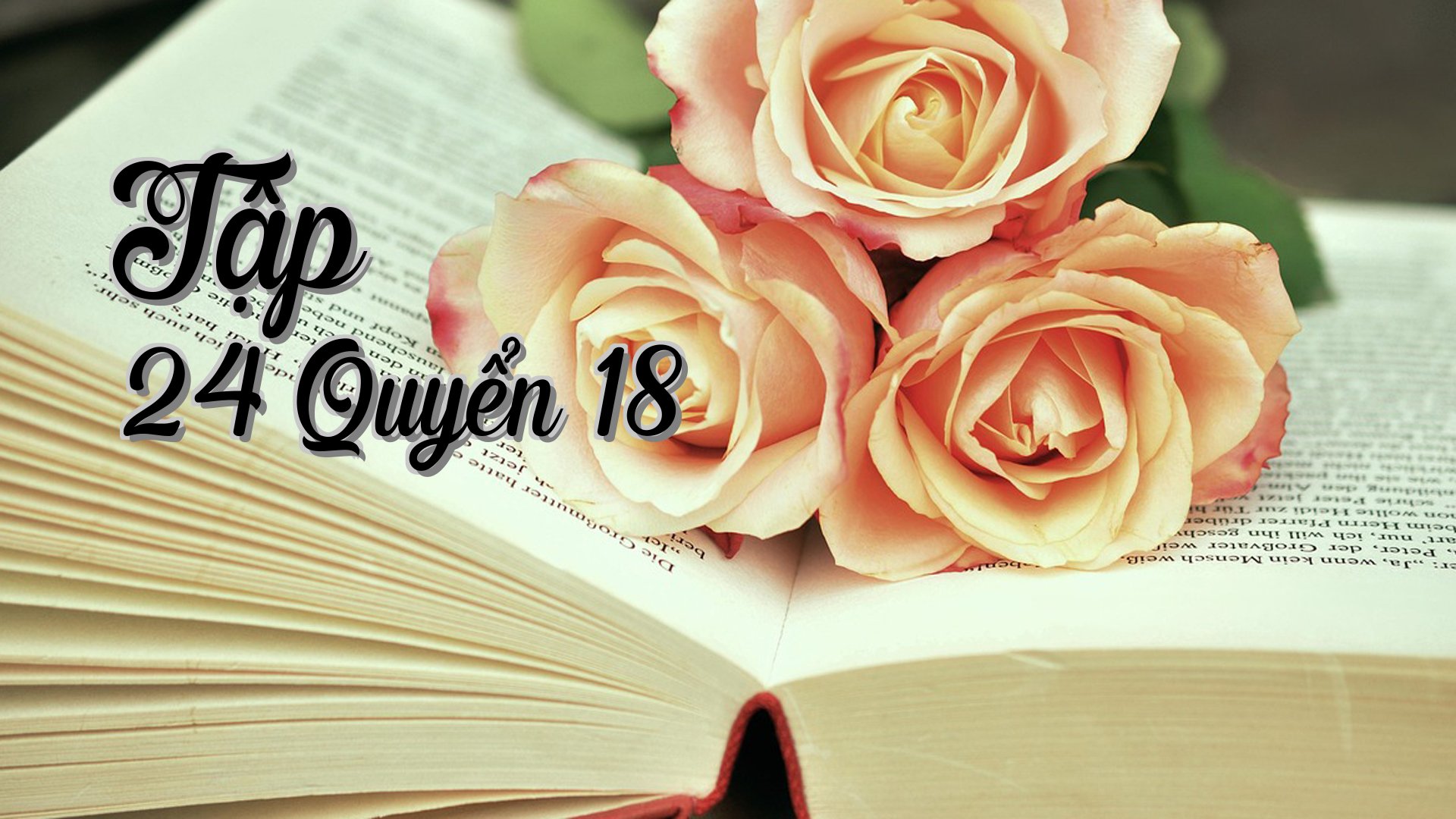 cover-Tập 24 Quyển 18