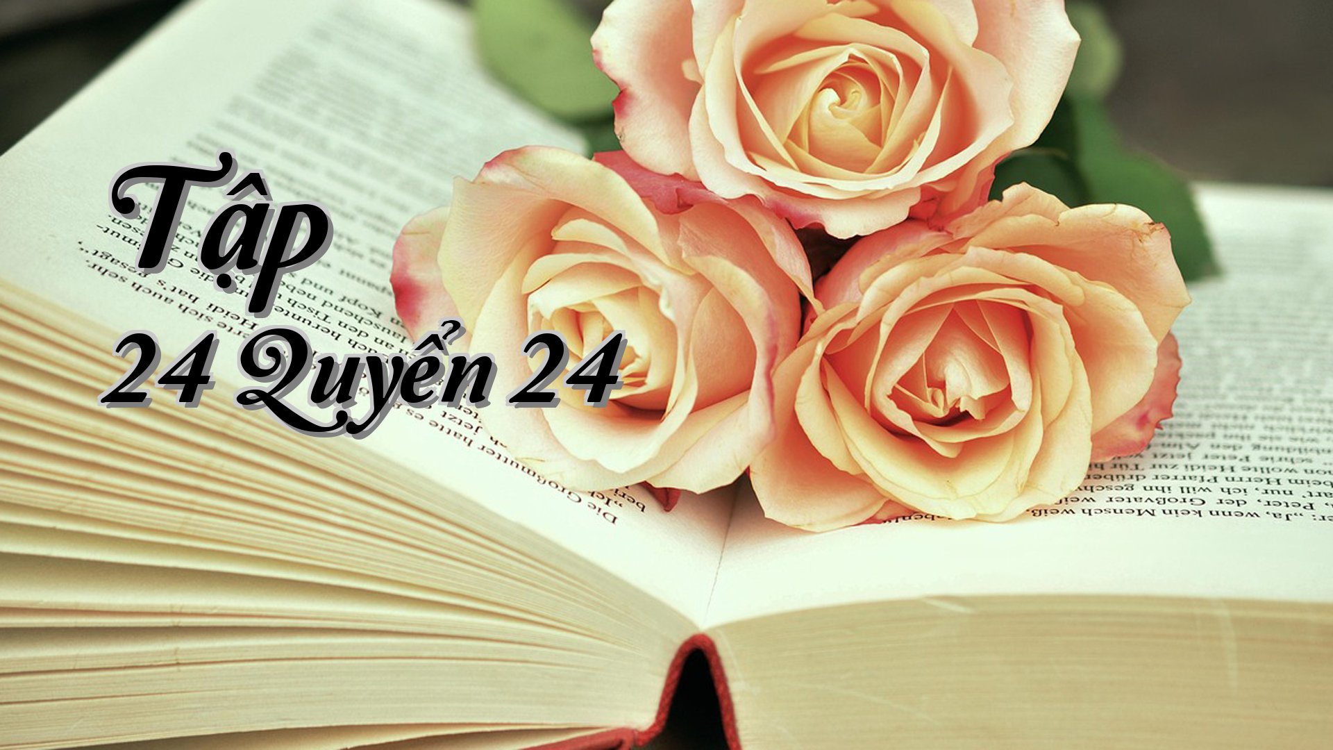 cover-Tập 24 Quyển 24