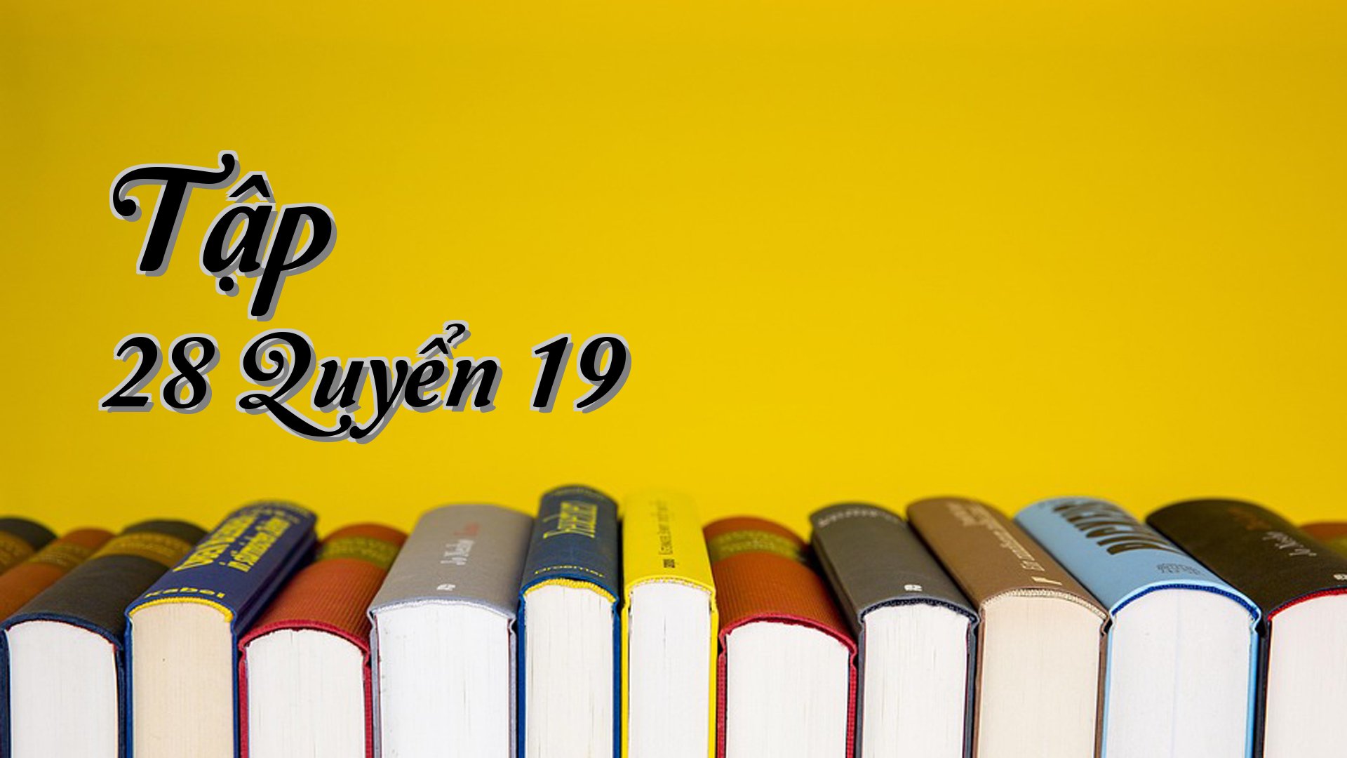 cover-Tập 28 Quyển 19