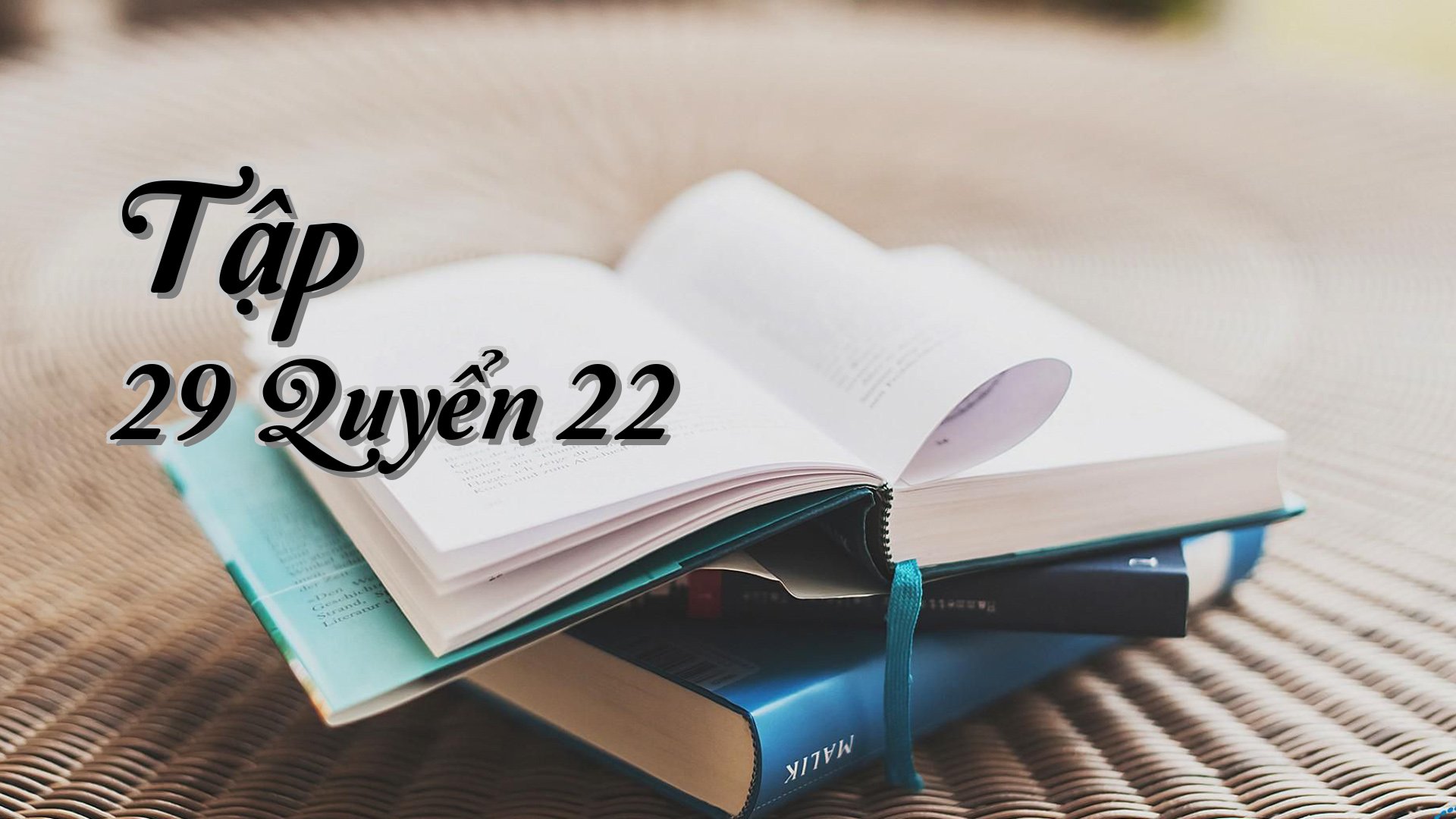 cover-Tập 29 Quyển 22