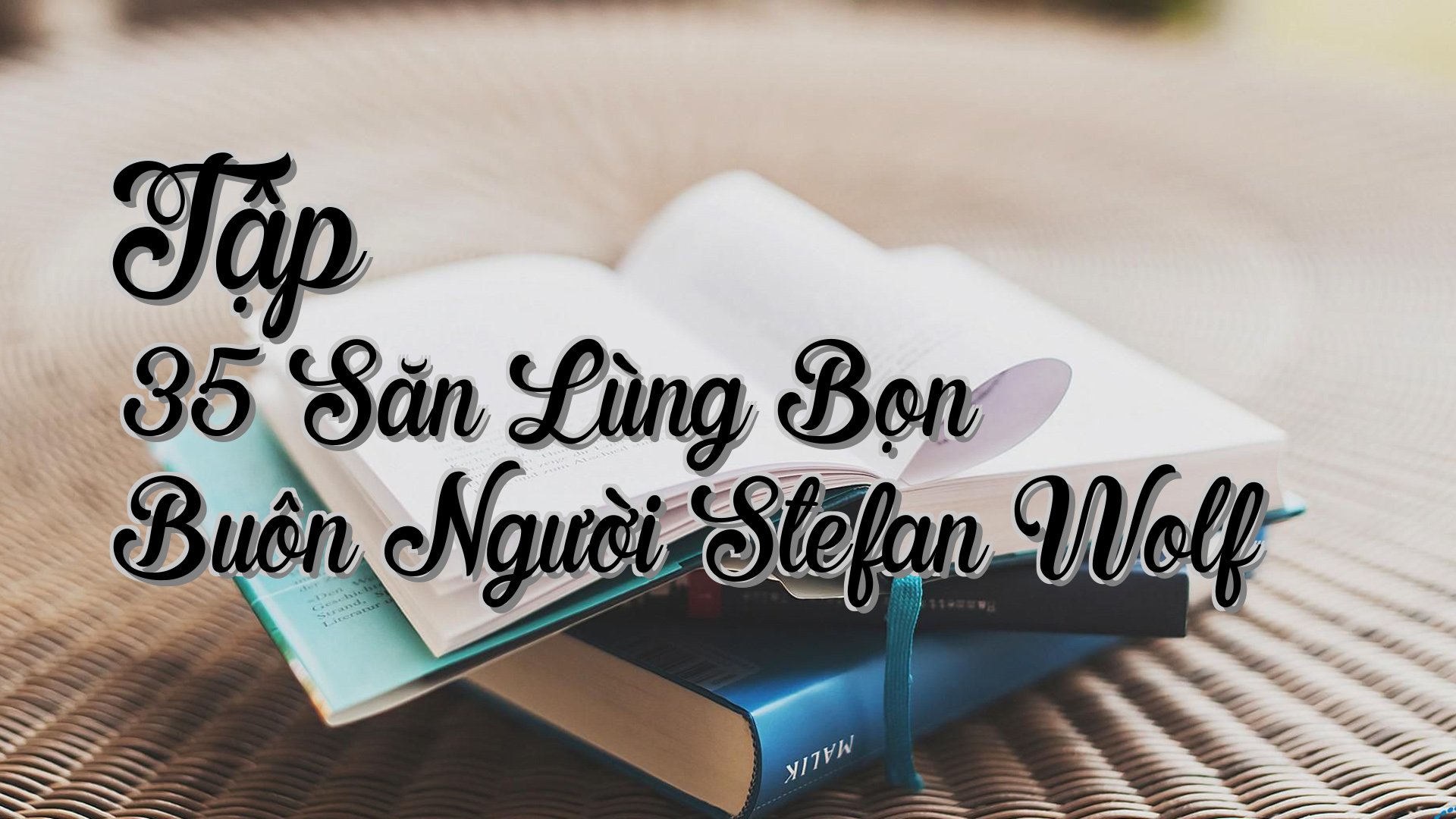 cover-Tập 35 Săn Lùng Bọn Buôn Người Stefan Wolf