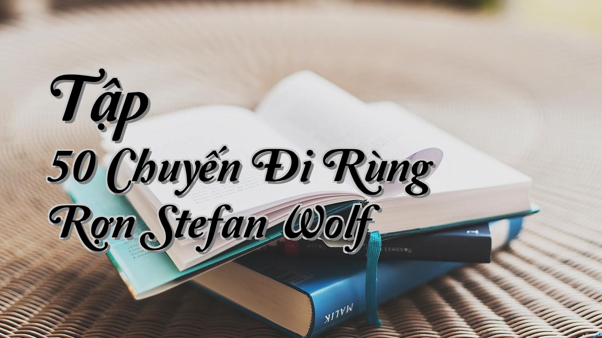 cover-Tập 50 Chuyến Đi Rùng Rợn Stefan Wolf