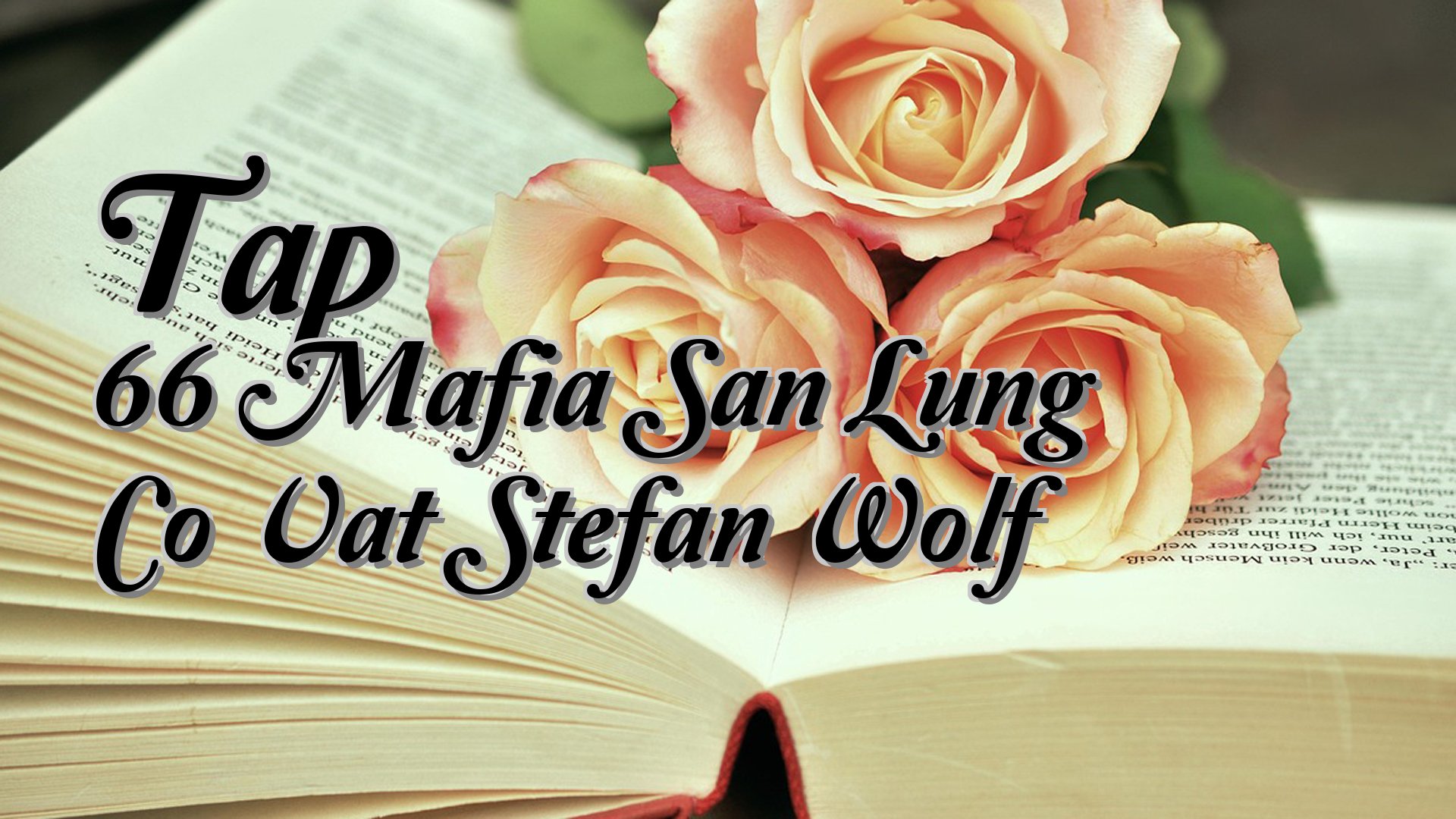 cover-Tap 66 Mafia San Lung Co Vat Stefan Wolf