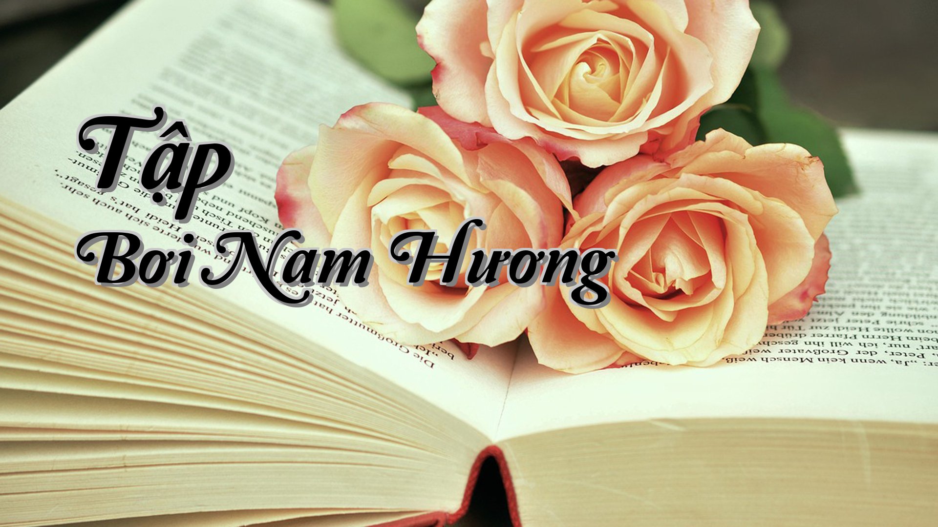 cover-Tập Bơi Nam Hương