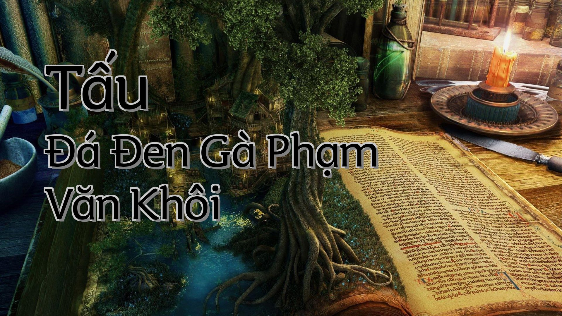 cover-Tấu Đá Đen Gà Phạm Văn Khôi