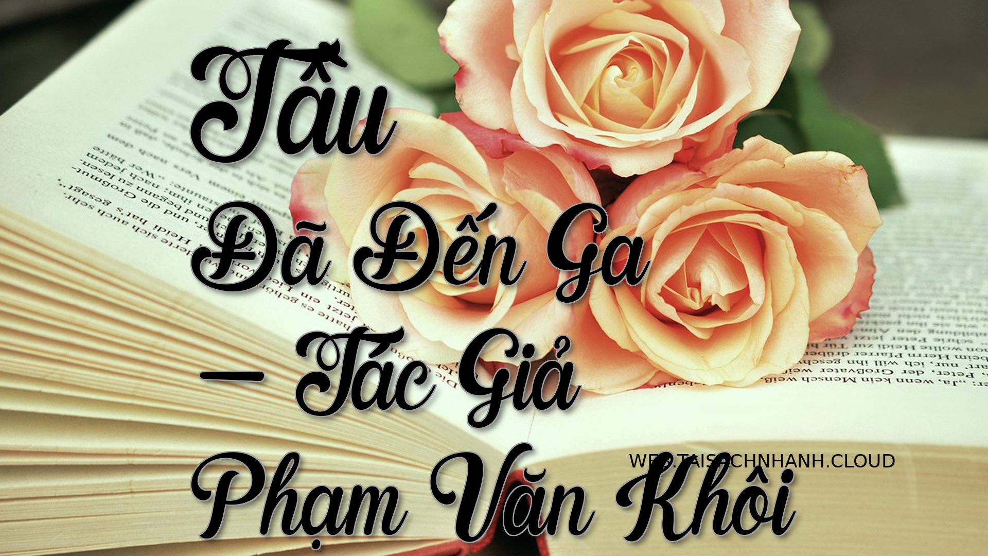 Cover Tau Da Den Ga.jpg