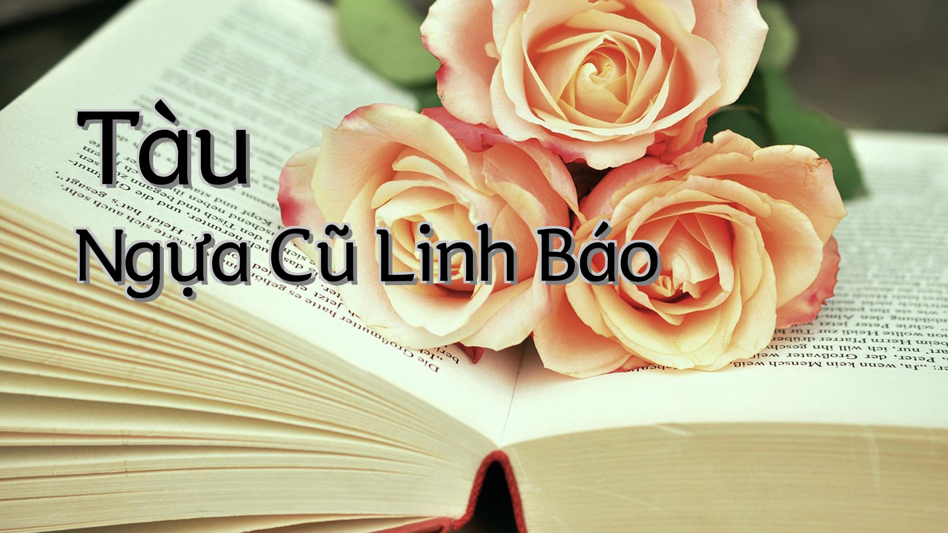 cover-Tàu Ngựa Cũ Linh Báo