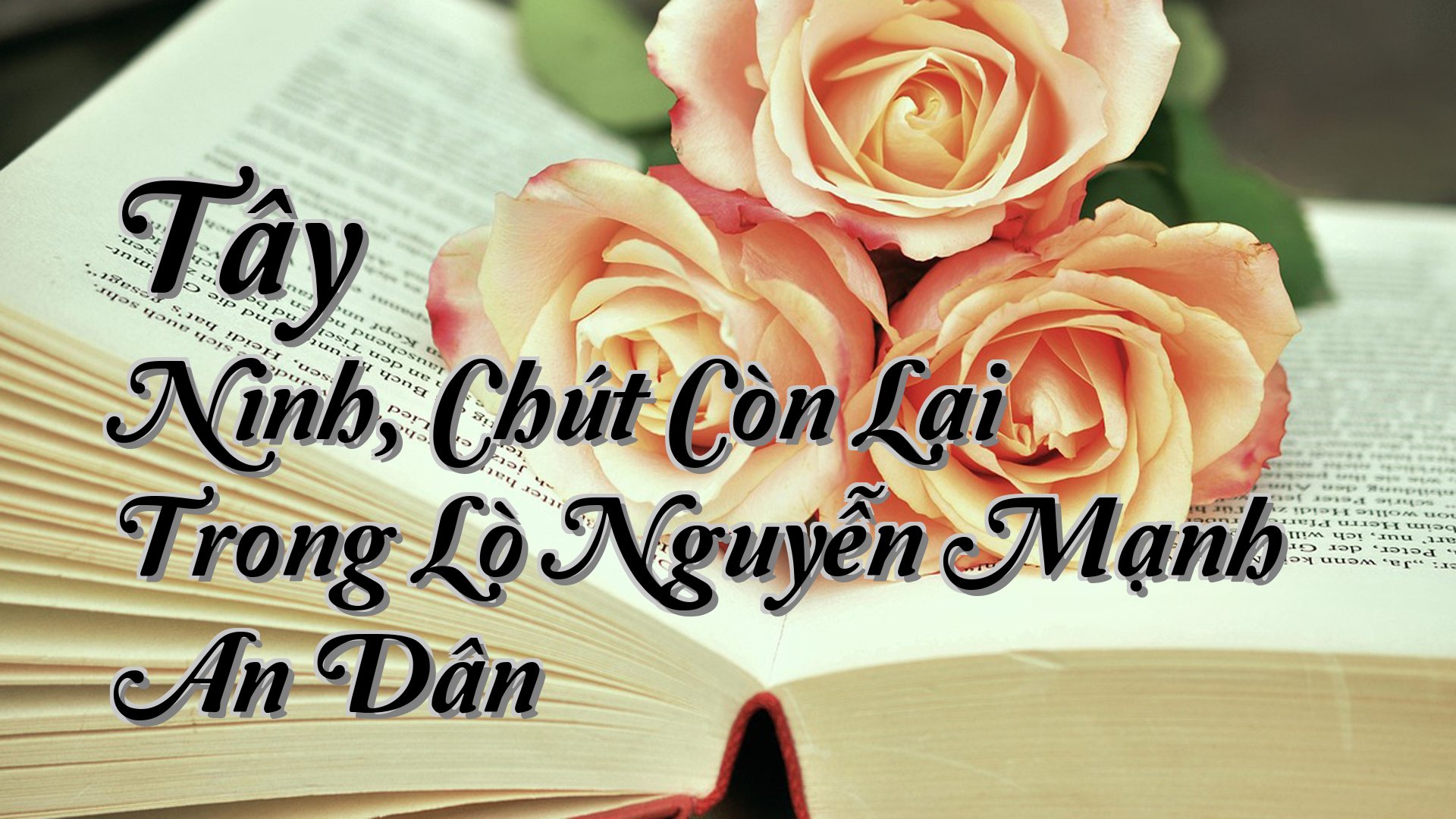 cover-Tây Ninh, Chút Còn Lại Trong Lò Nguyễn Mạnh An Dân