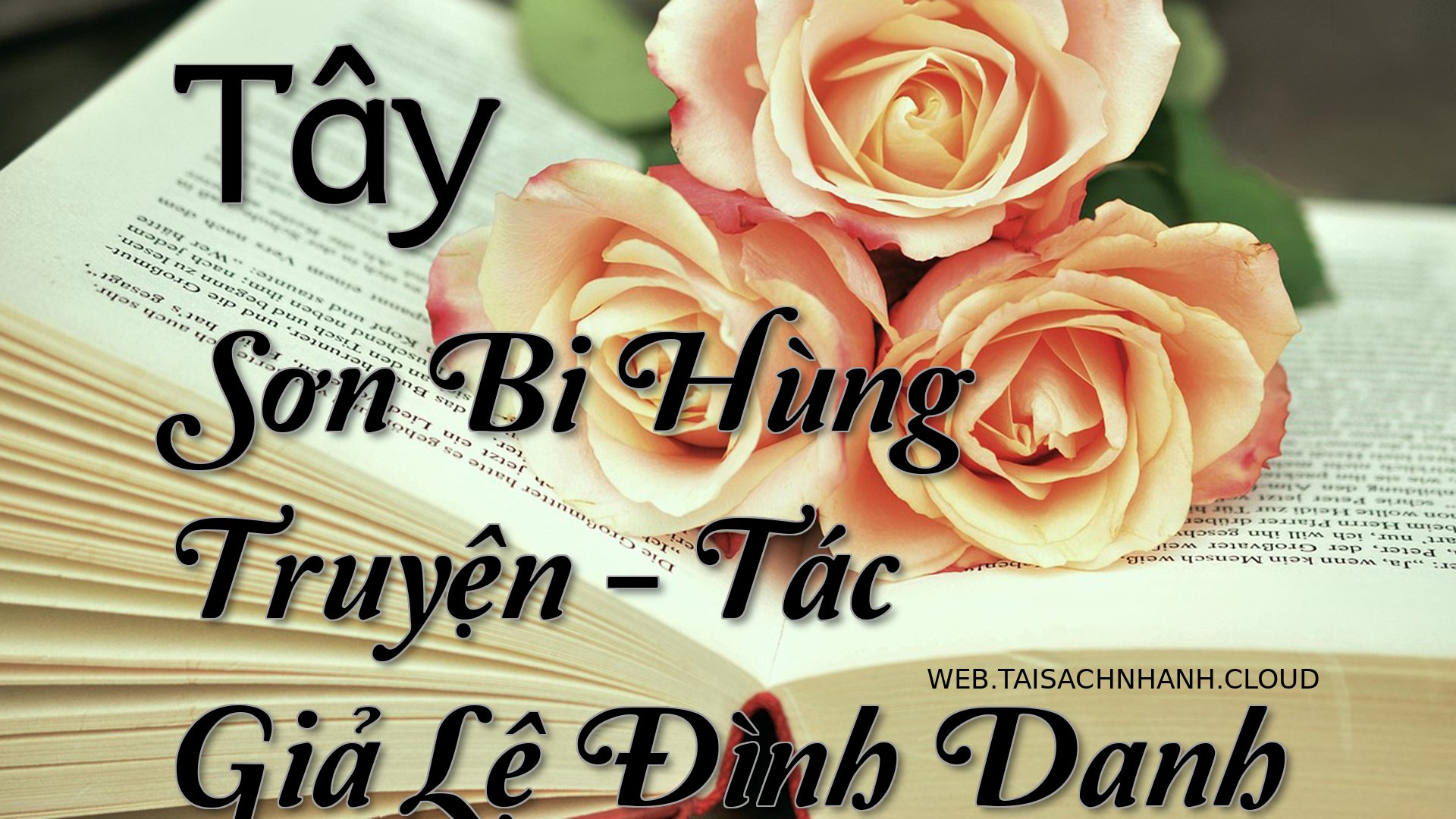 Cover Tay Son Bi Hung Truy.jpg