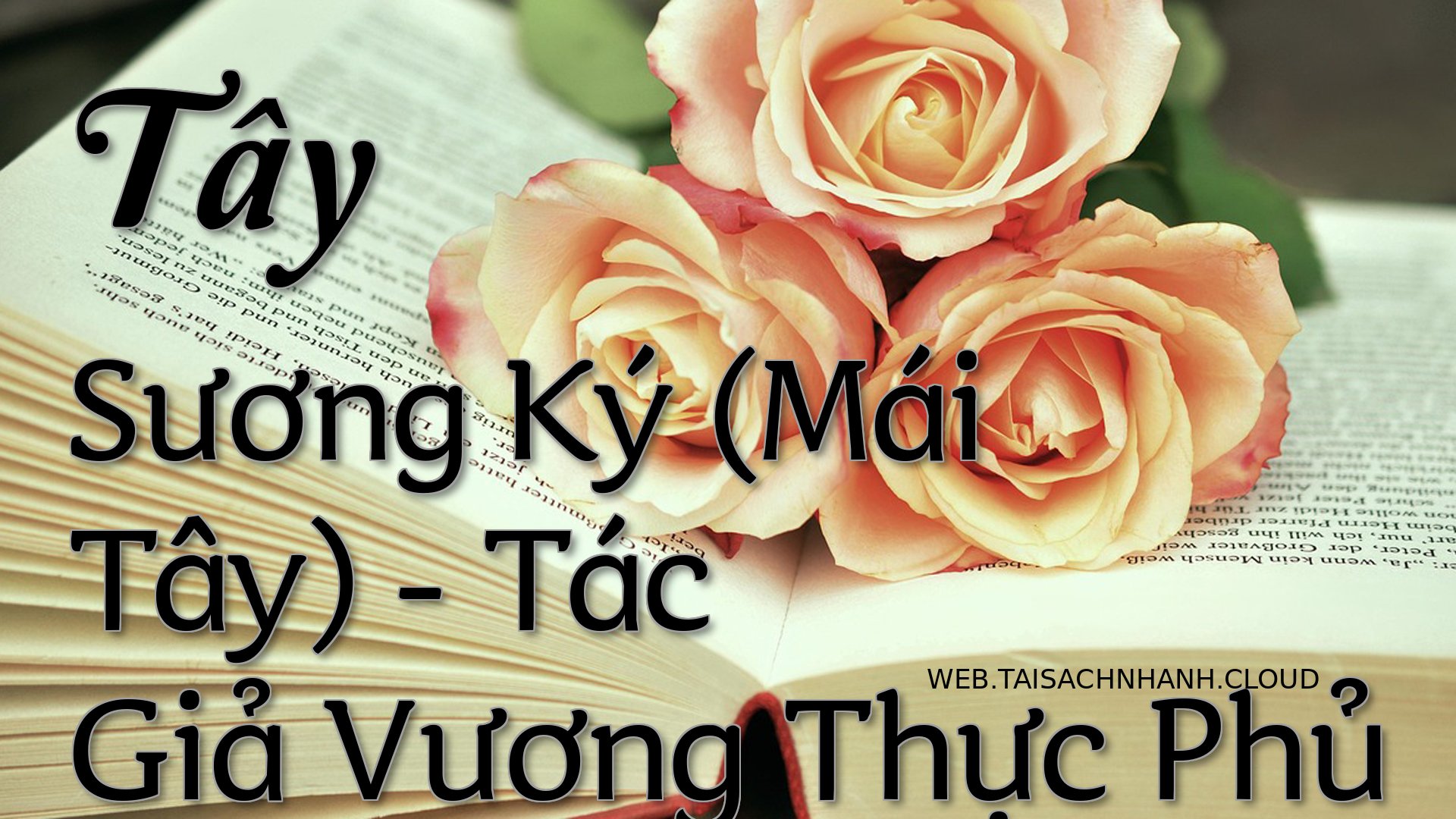 Cover Tay Suong Ky Mai Ta.jpg