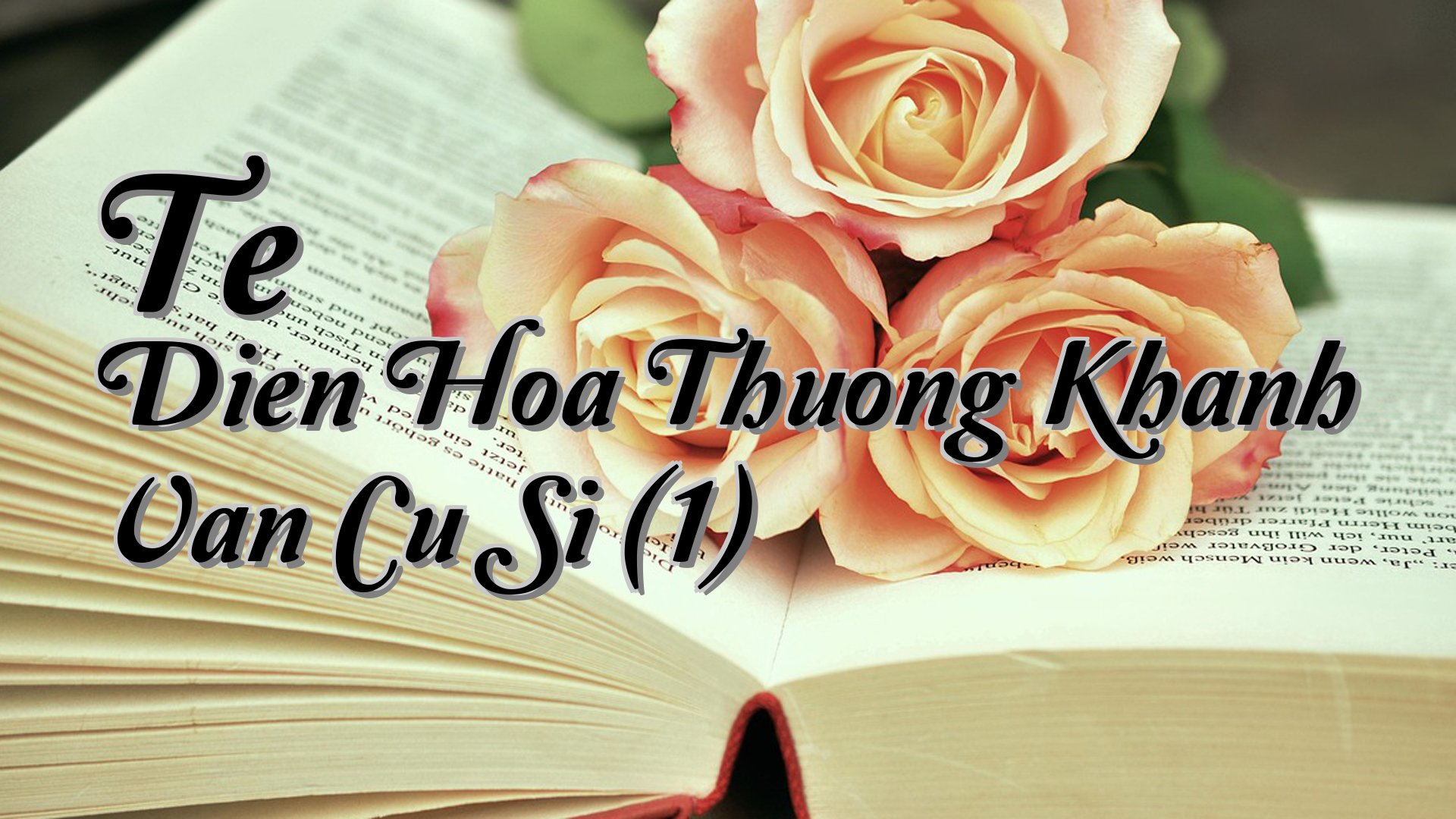 cover-Te Dien Hoa Thuong Khanh Van Cu Si (1)