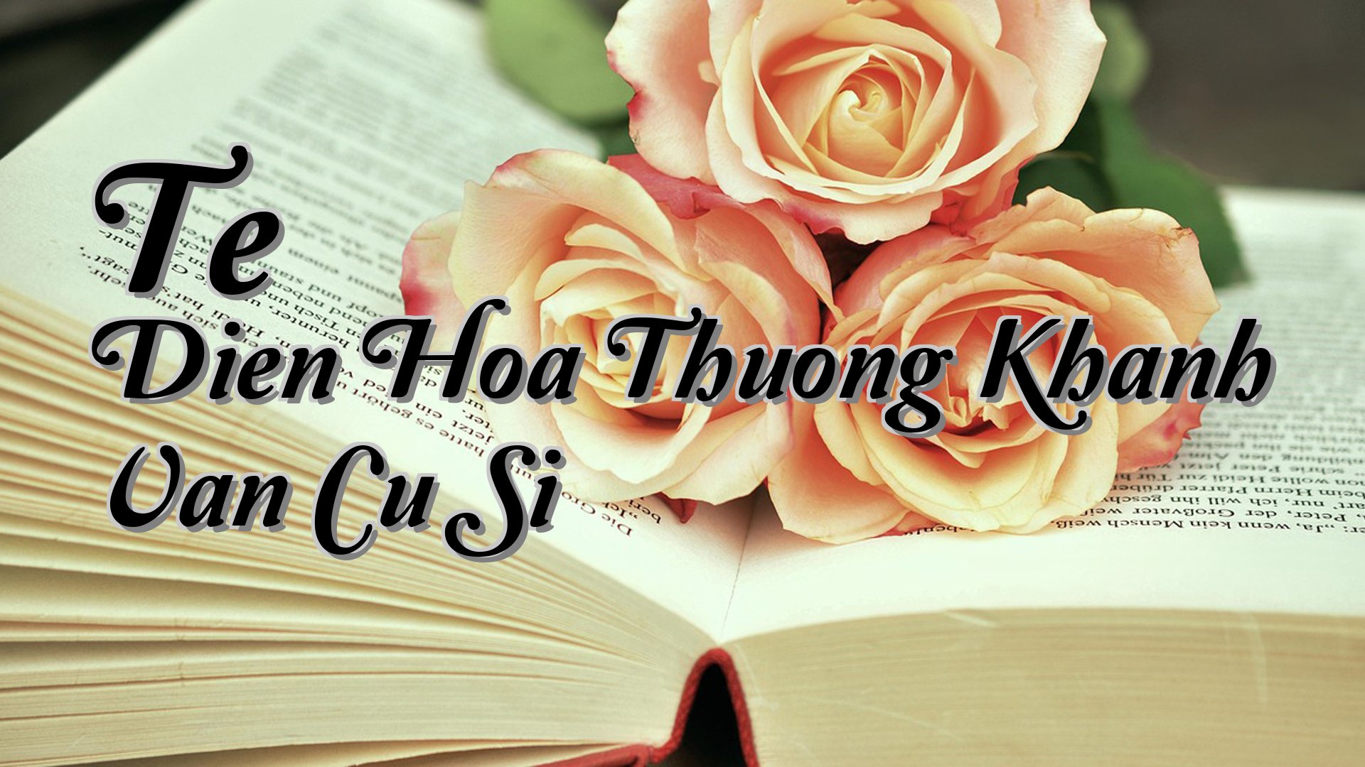 cover-Te Dien Hoa Thuong Khanh Van Cu Si