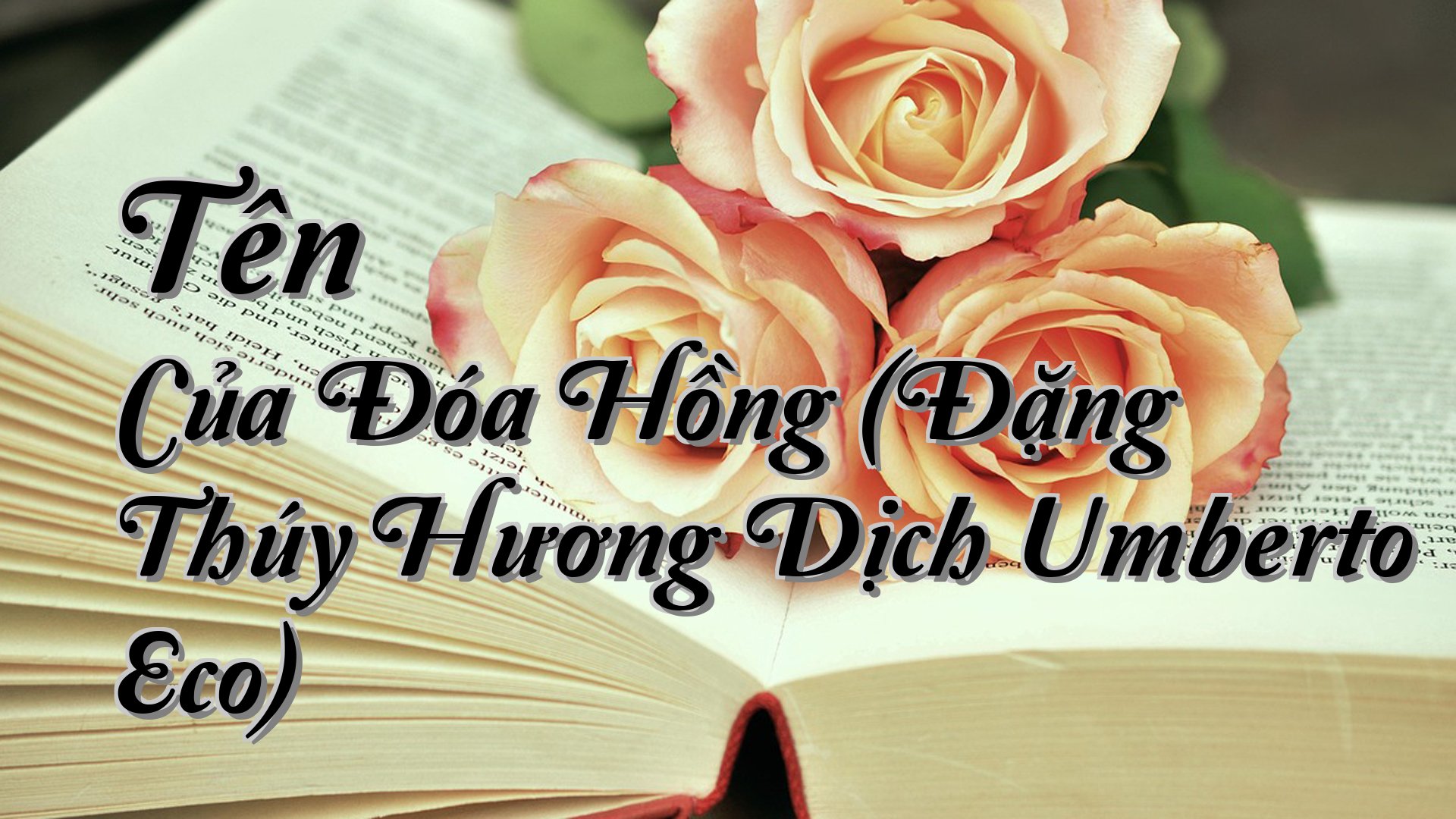 cover-Tên Của Đóa Hồng (Đặng Thúy Hương Dịch Umberto Eco)