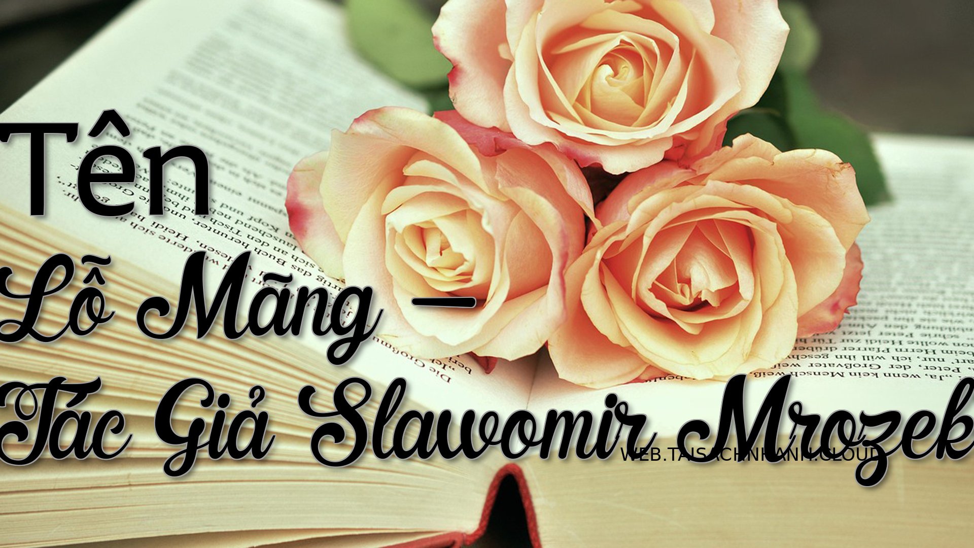 Cover Ten Lo Mang.jpg