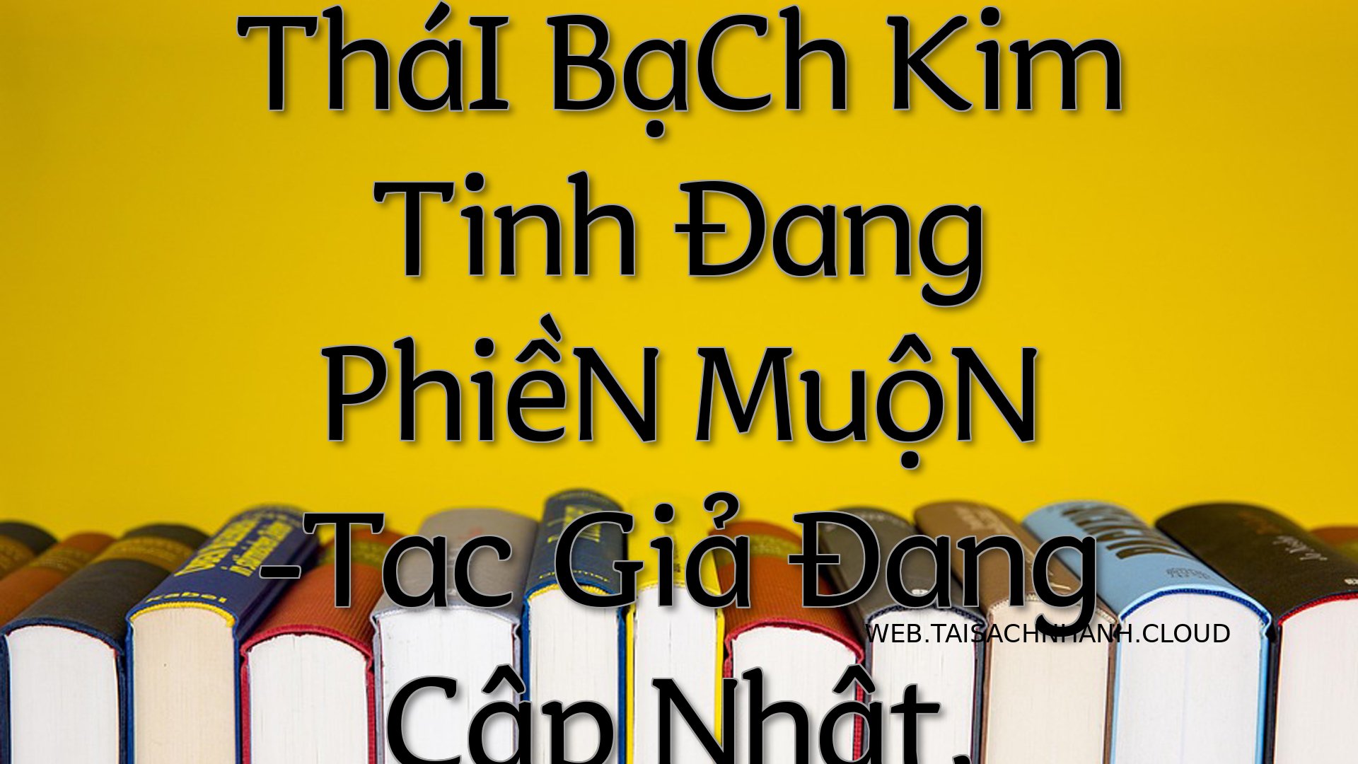 Cover ThaI BaCh Kim Tinh.jpg