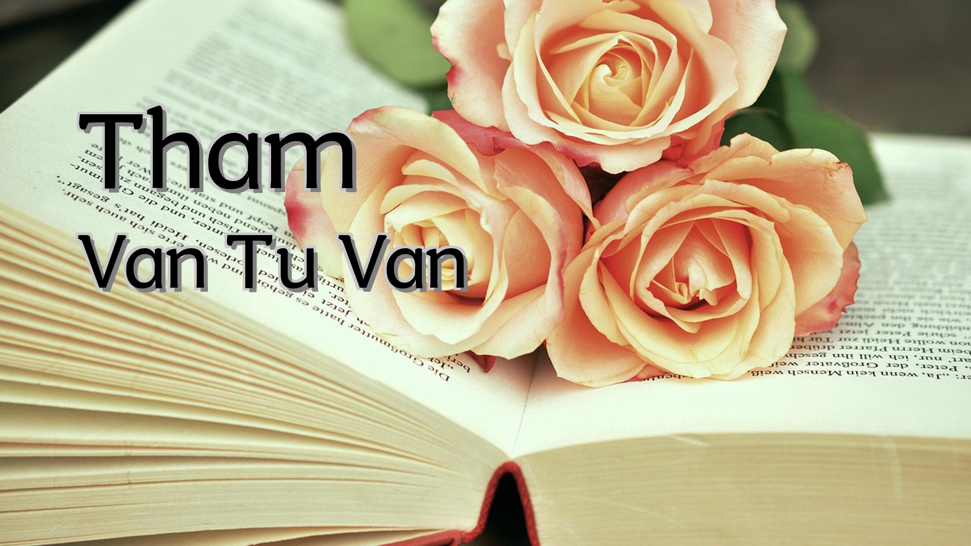 Cover image for Tham Van Tu Van