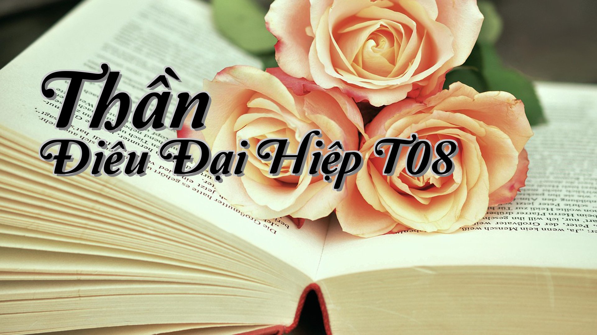 cover-Thần Điêu Đại Hiệp T08