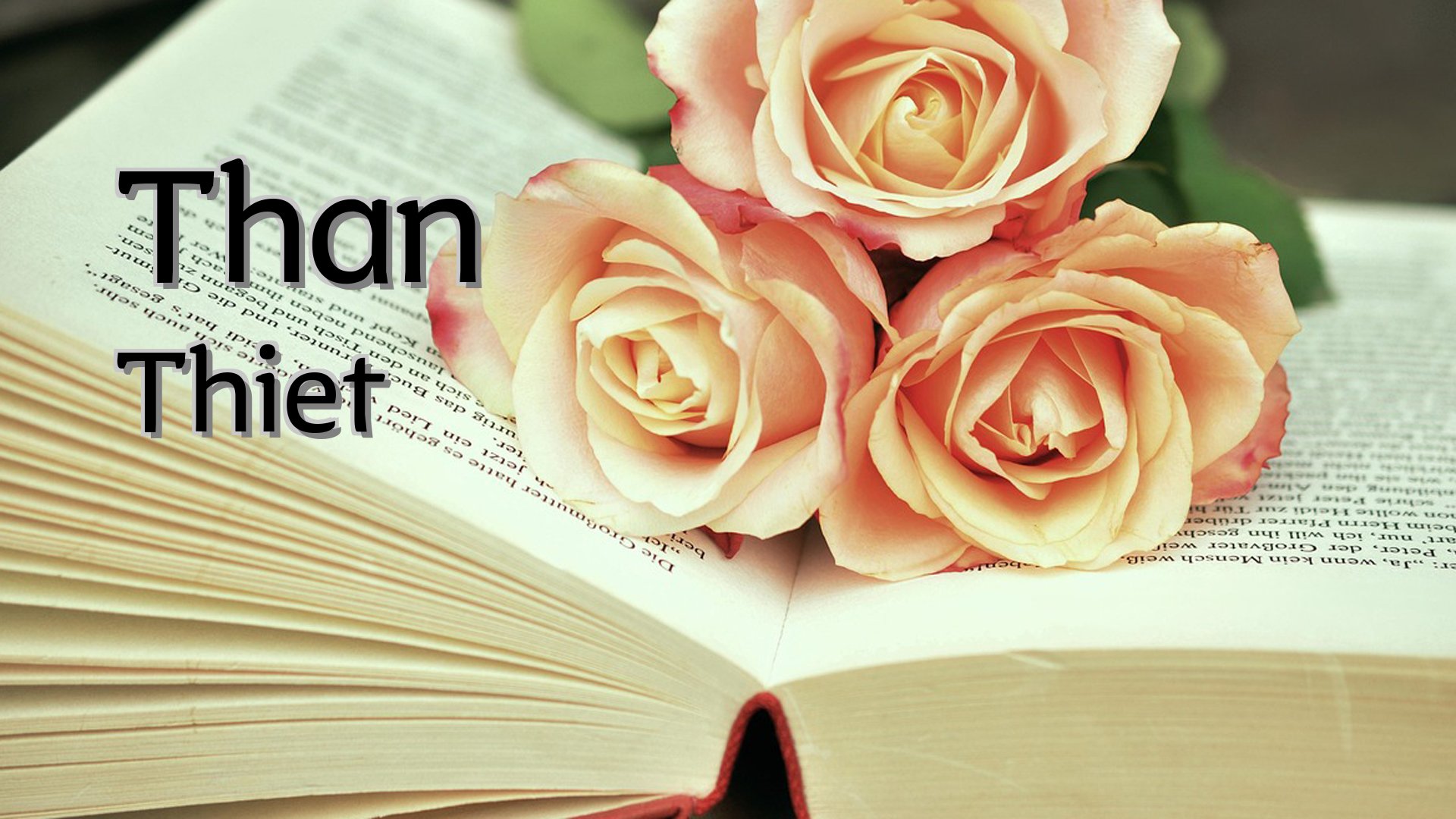 Cover image for Than Thiet