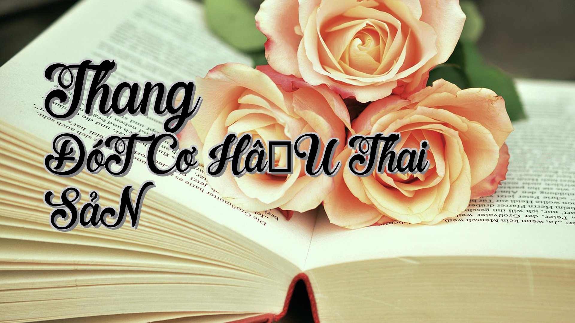 cover-Thang ĐóT Cơ HậU Thai SảN
