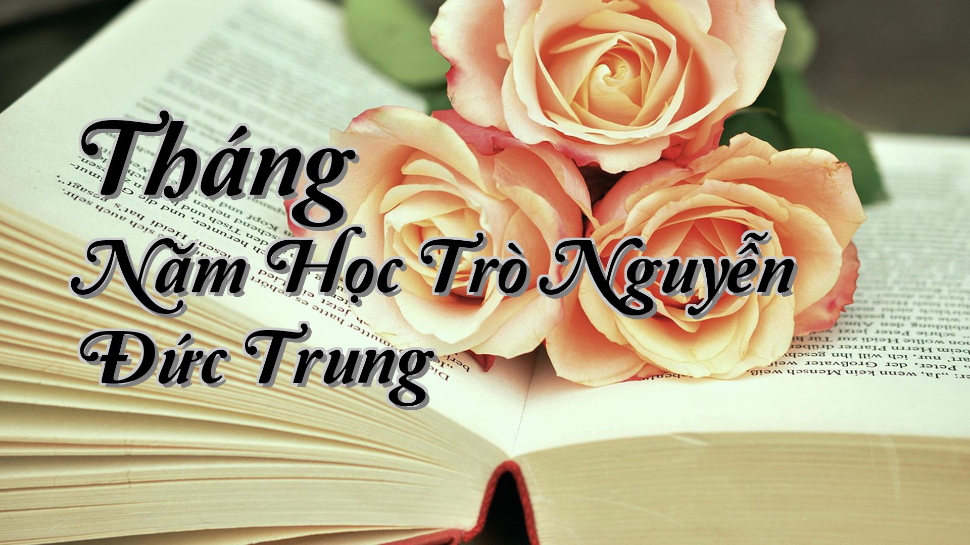 cover-Tháng Năm Học Trò Nguyễn Đức Trung