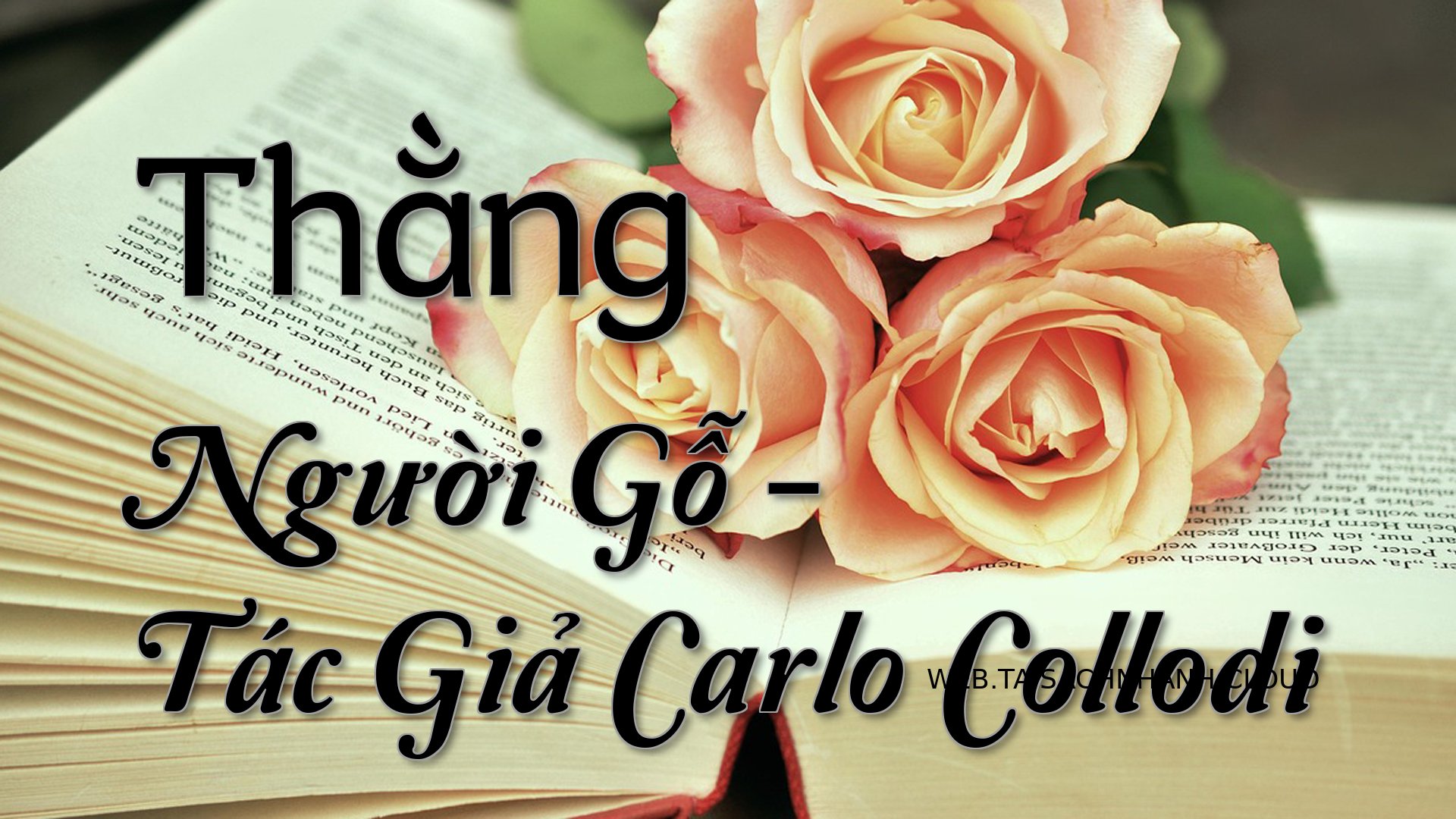 Cover Thang Nguoi Go.jpg