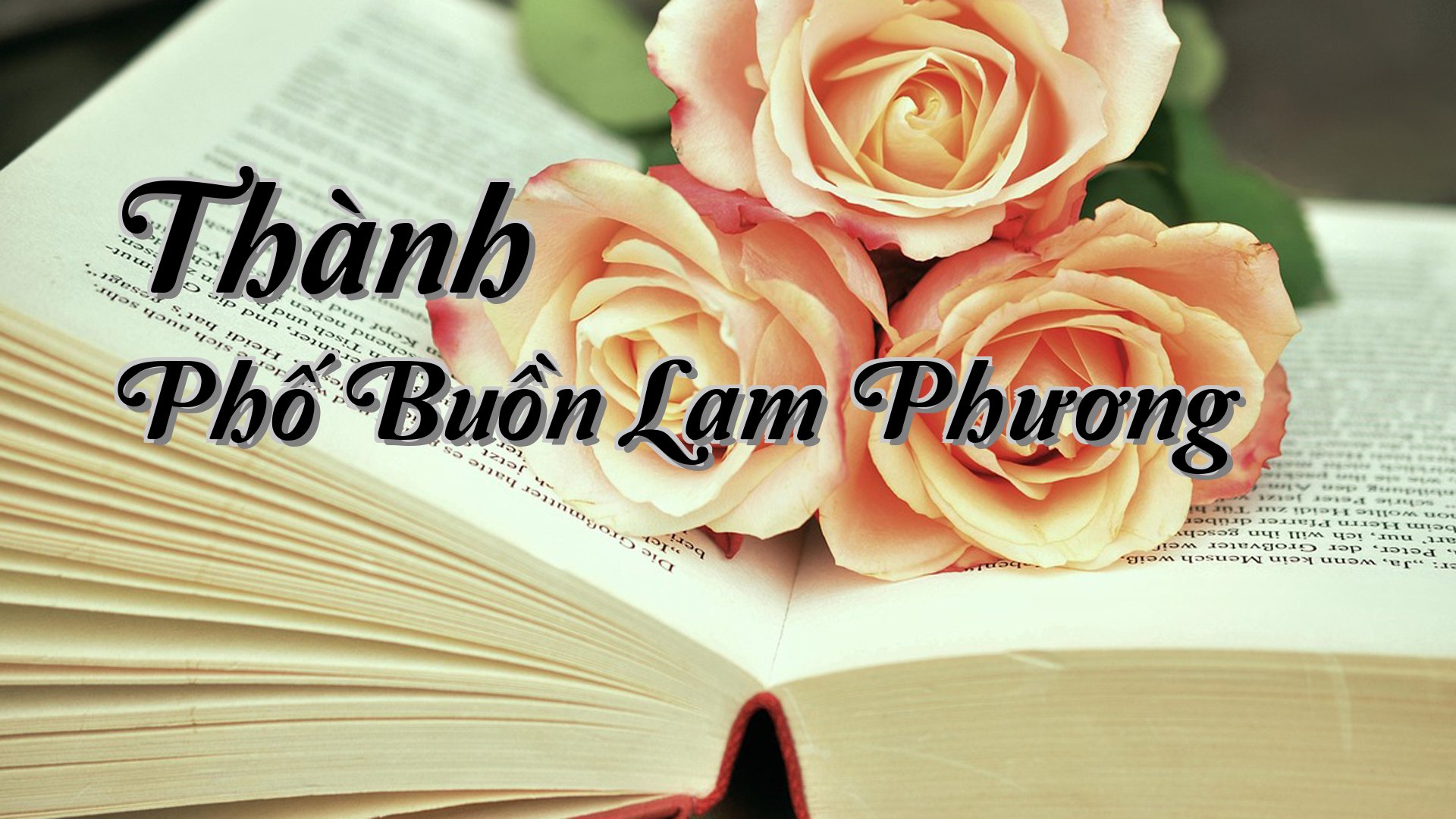 cover-Thành Phố Buồn Lam Phương