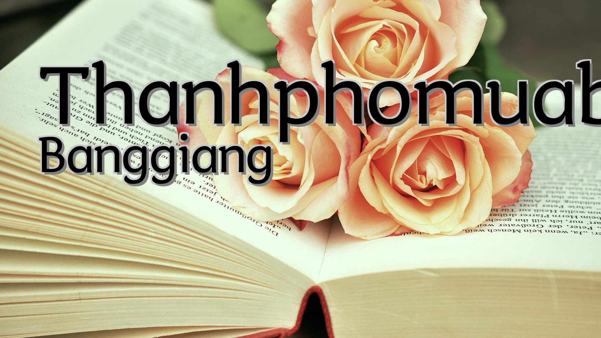 cover-Thanhphomuabay Banggiang