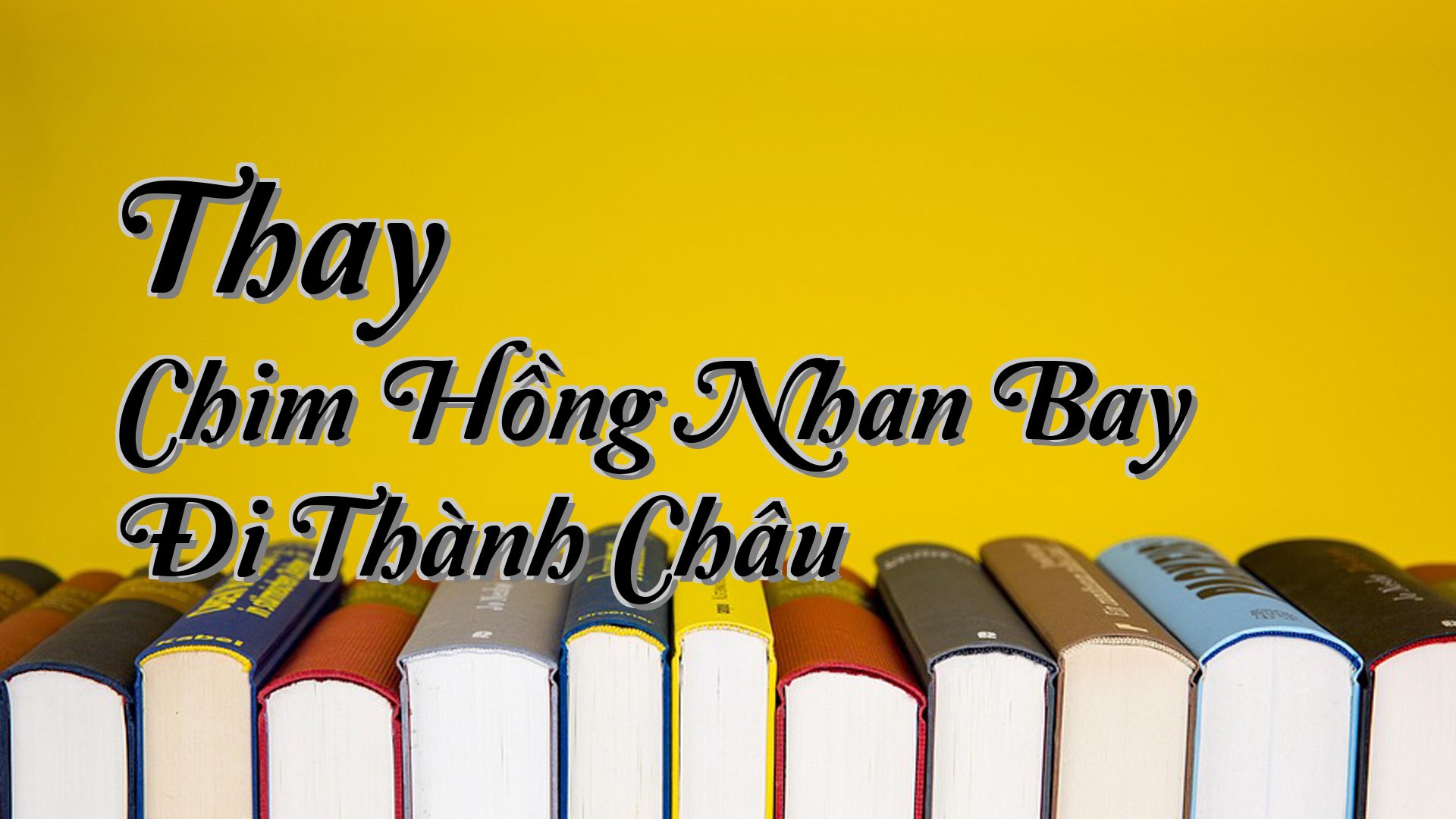 cover-Thay Chim Hồng Nhan Bay Đi Thành Châu