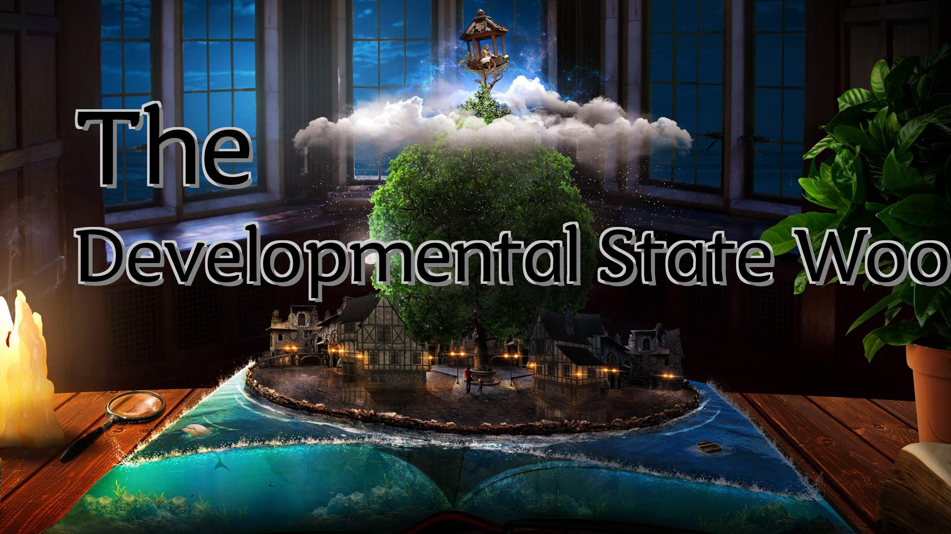 Cover image for The Developmental State Woo Cumings