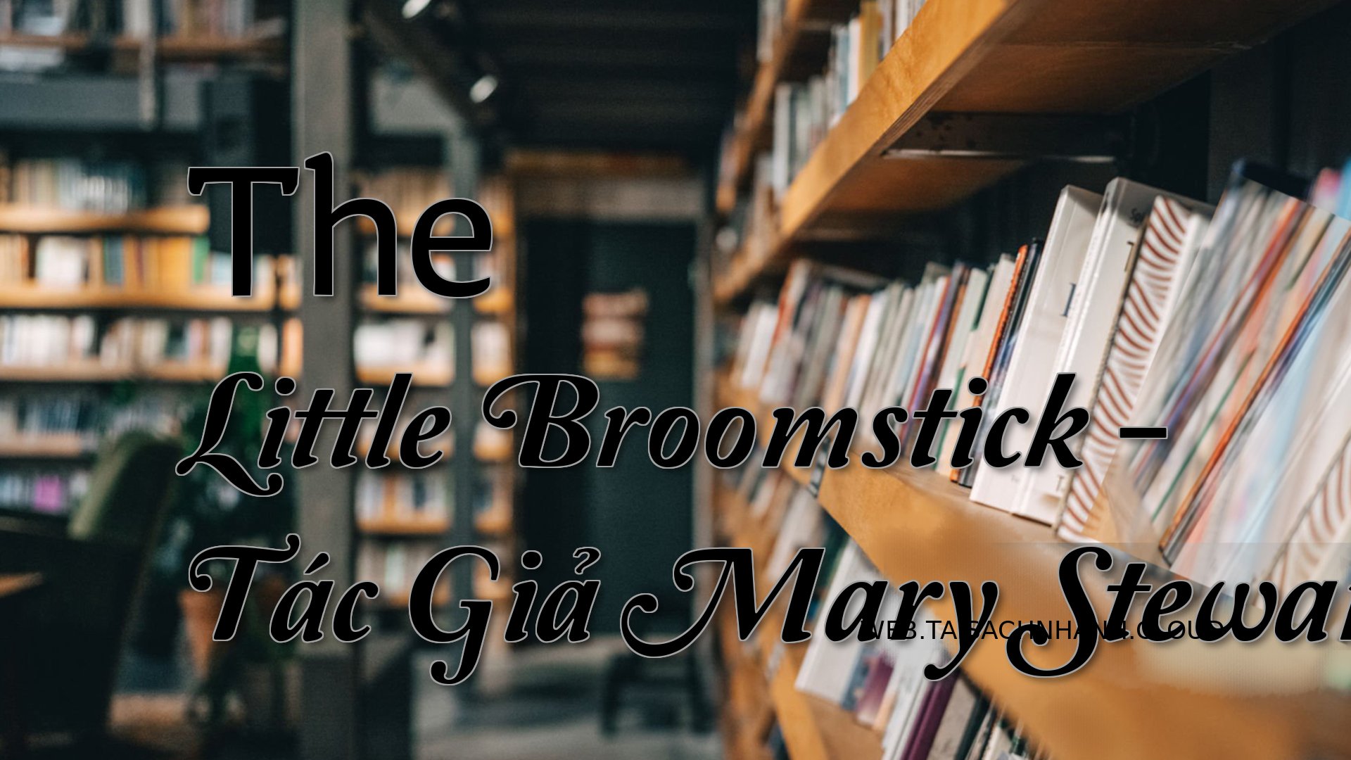 Cover The Little Broomstic.jpg