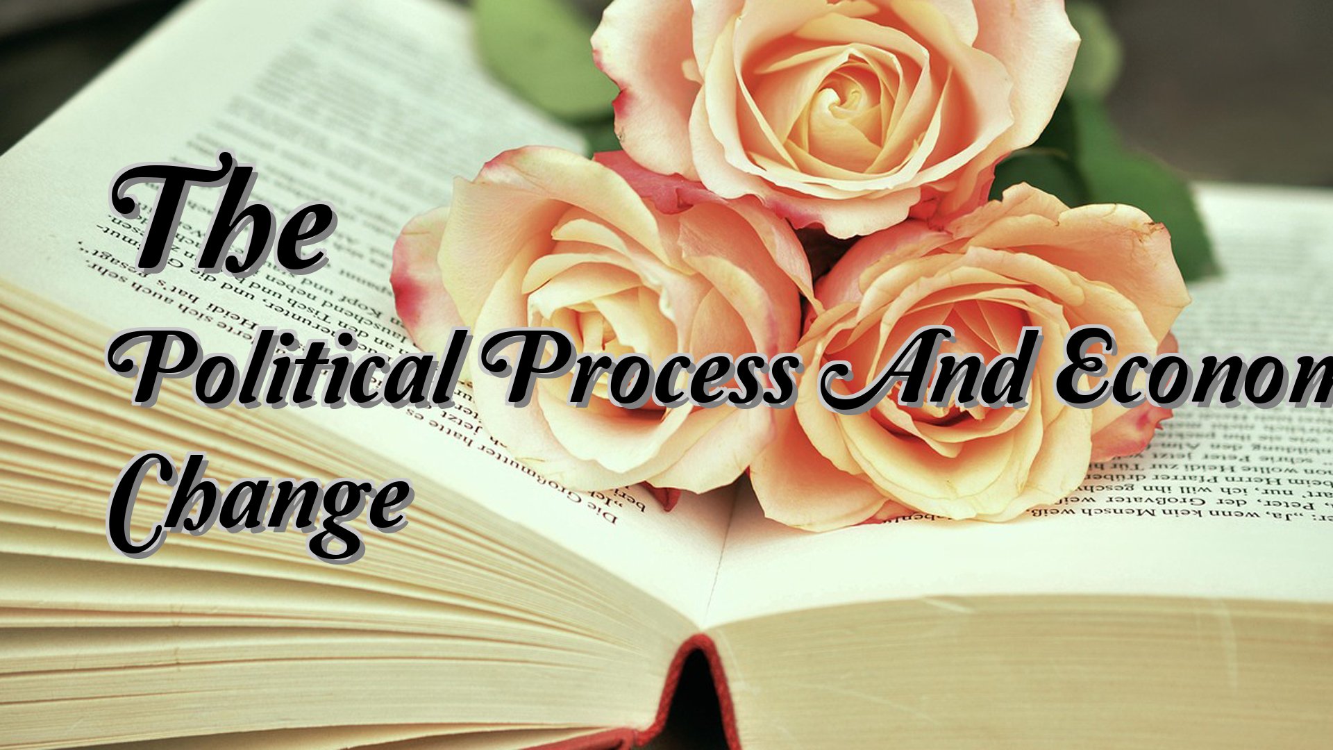 Cover image for The Political Process And Economic Change