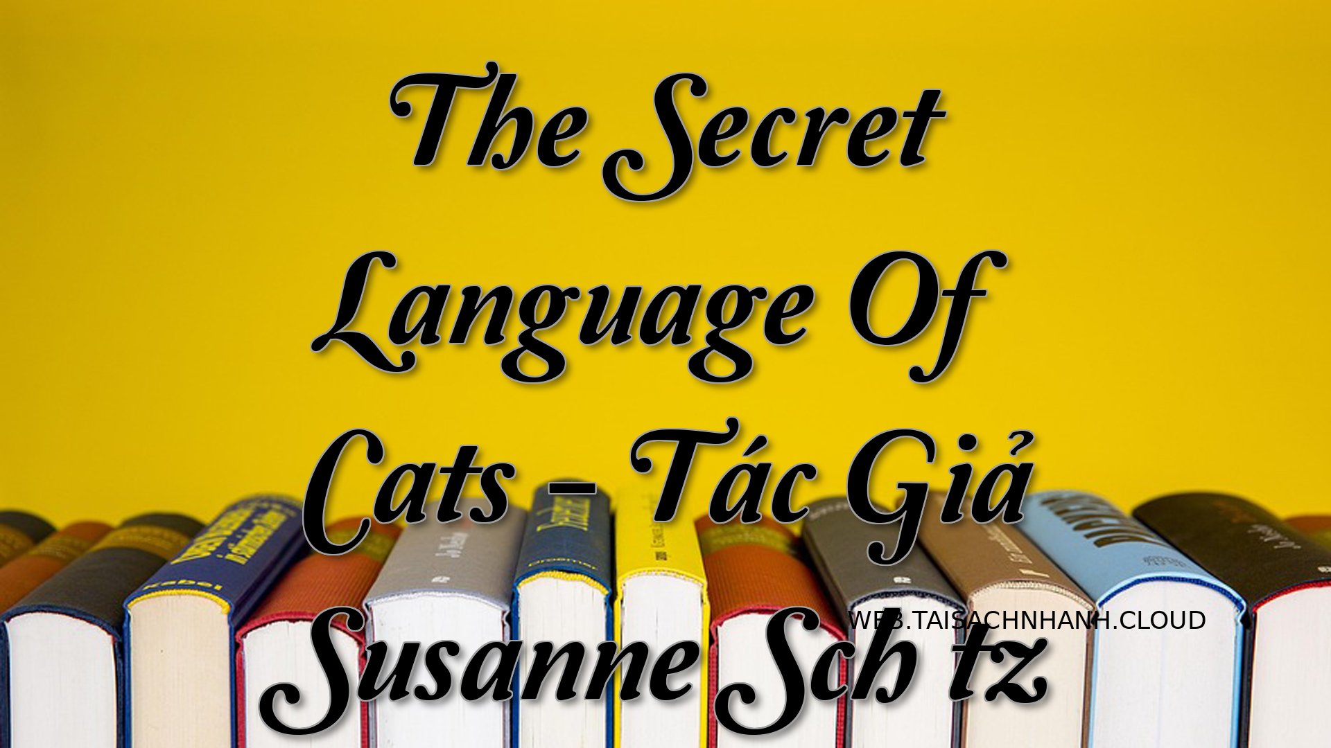 Cover The Secret Language .jpg