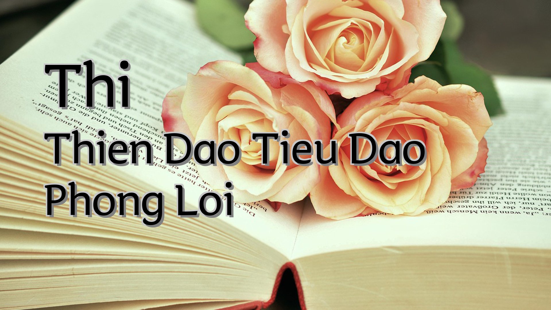 Cover image for Thi Thien Dao Tieu Dao Phong Loi