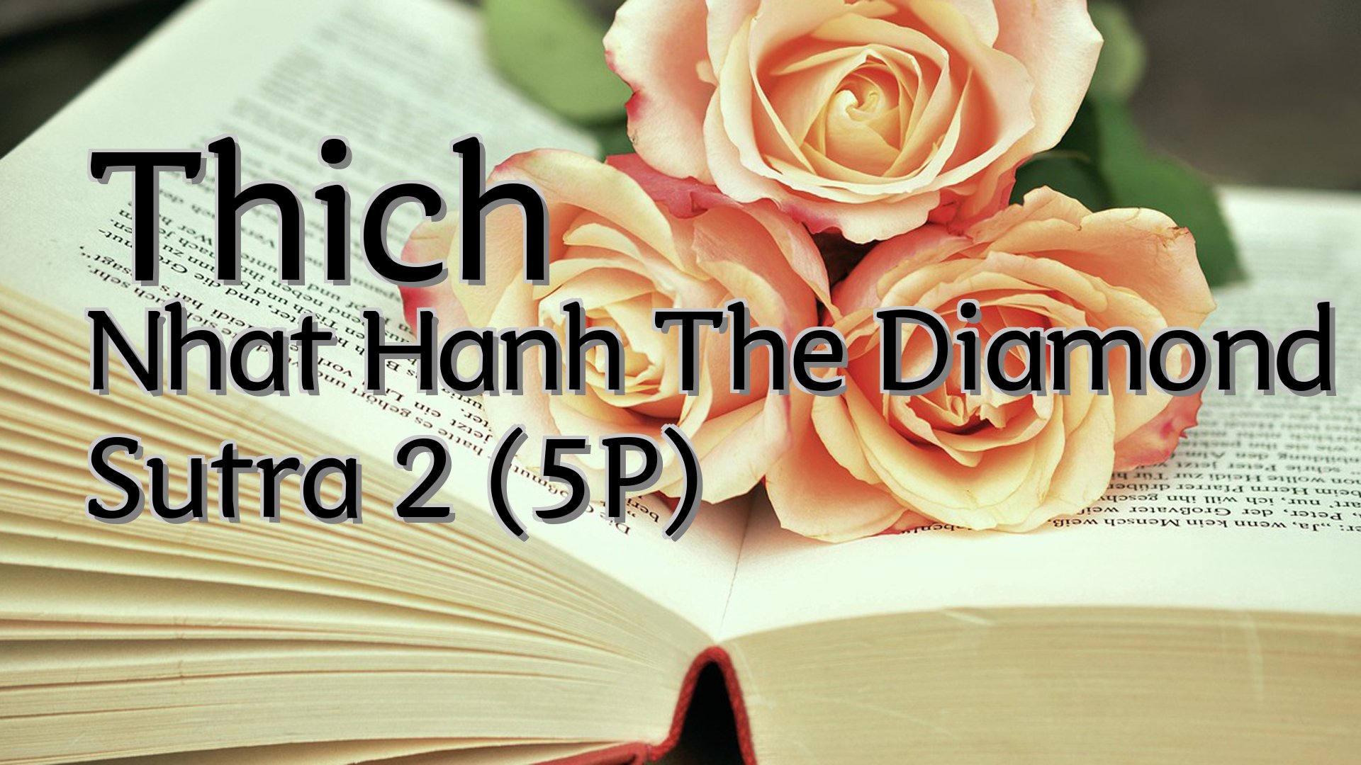 cover-Thich Nhat Hanh The Diamond Sutra 2 (5P)