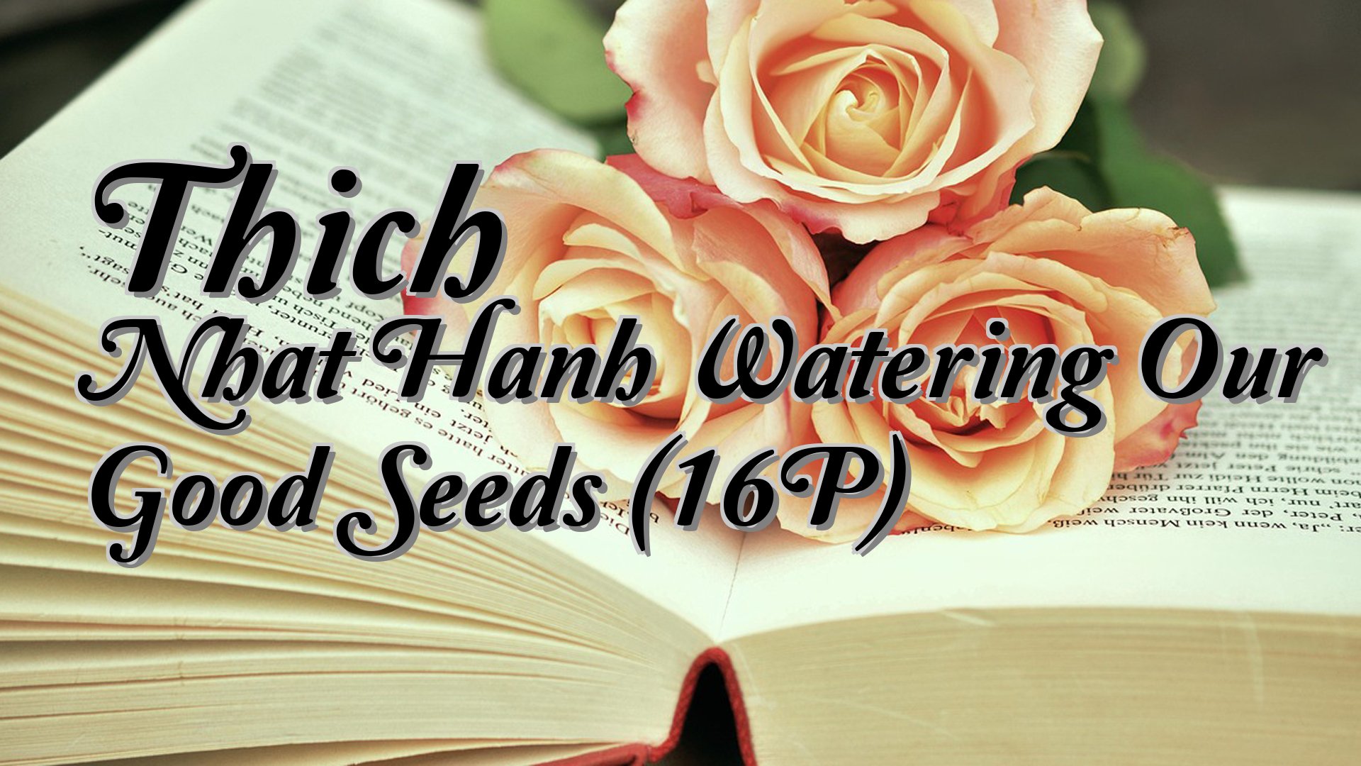 cover-Thich Nhat Hanh Watering Our Good Seeds (16P)