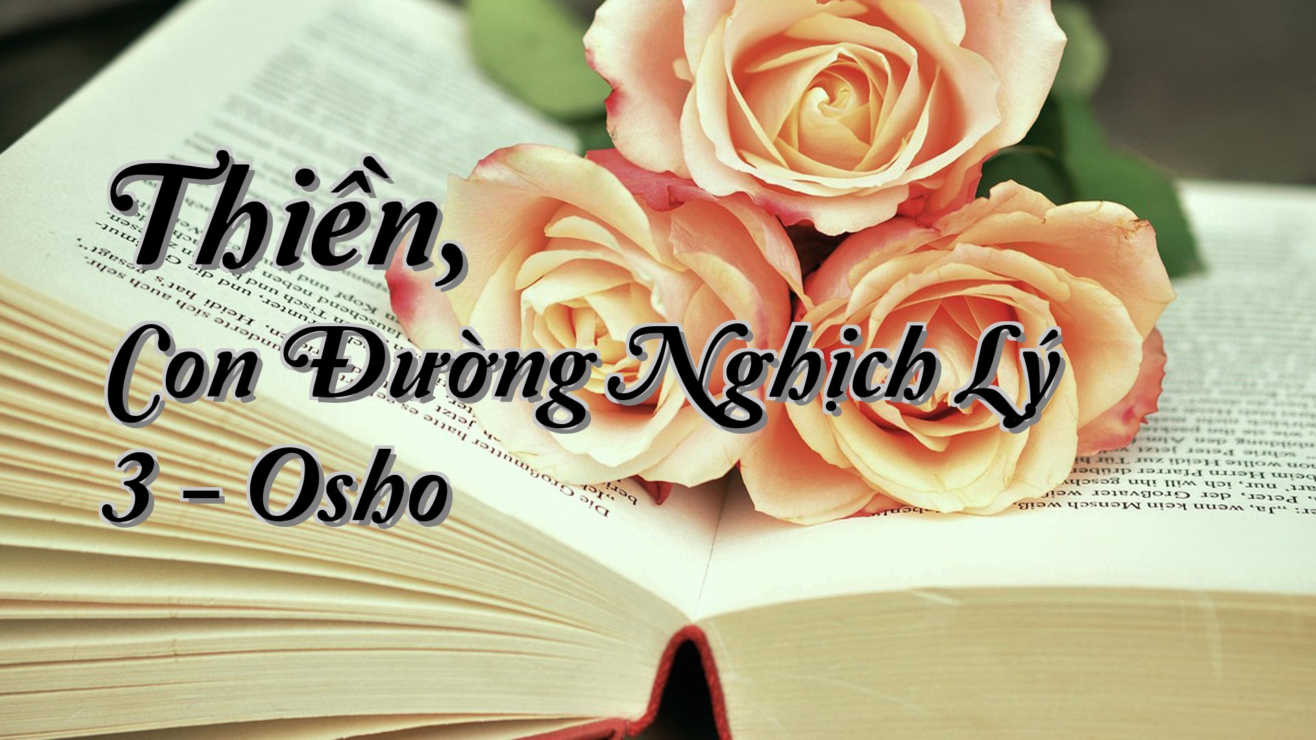 cover-Thiền, Con Đường Nghịch Lý 3 - Osho