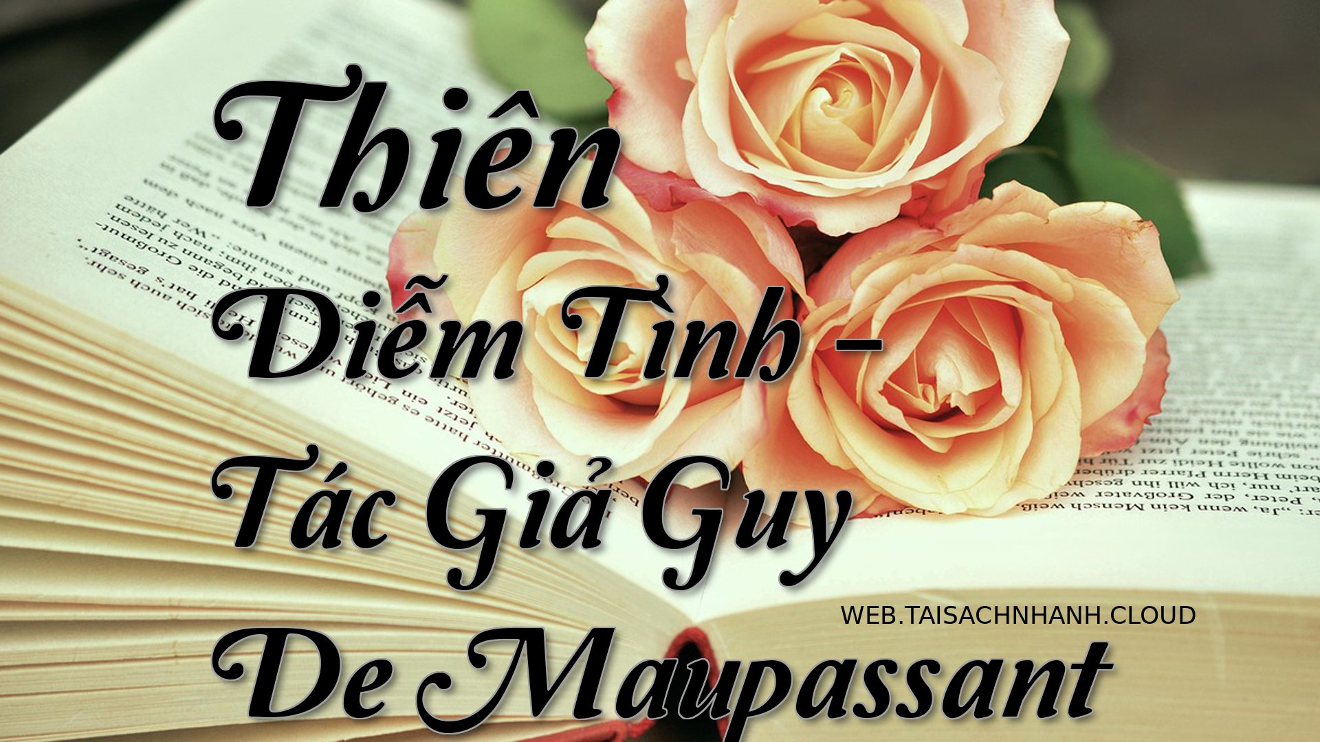 Cover Thien Diem Tinh.jpg