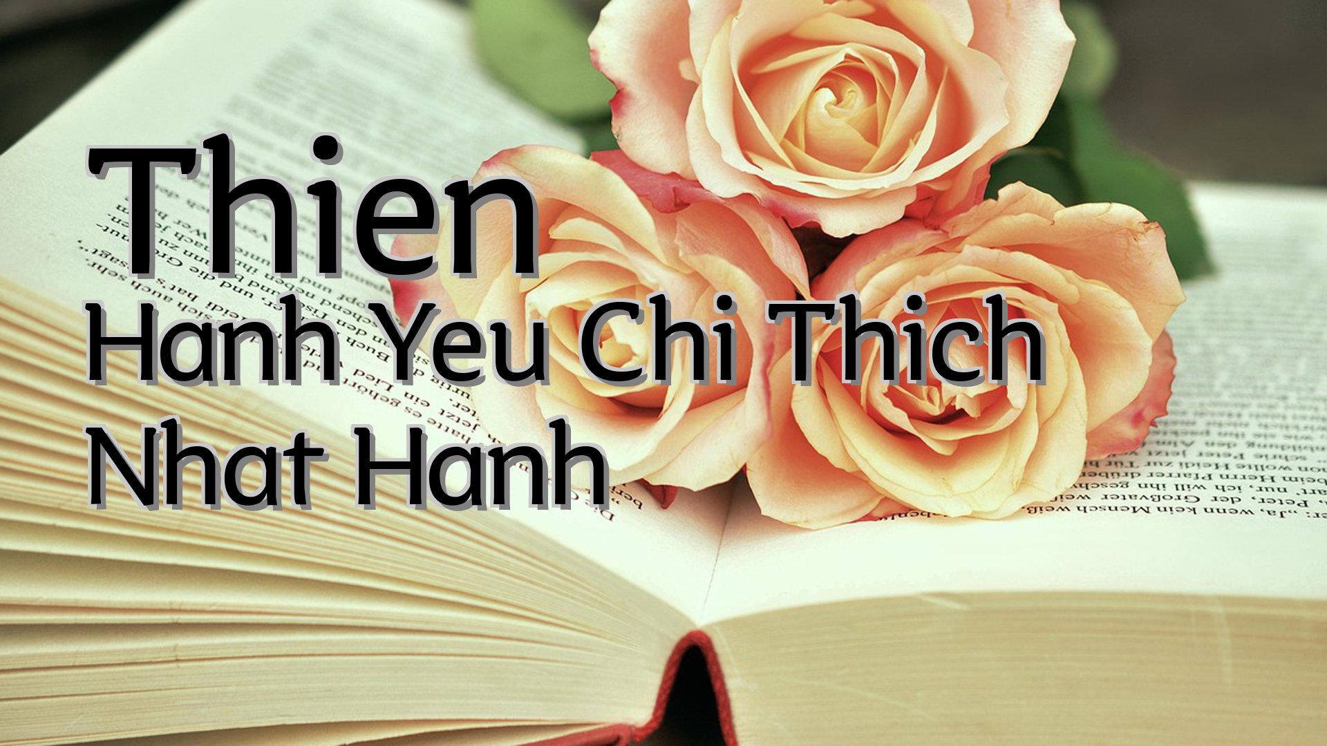 cover-Thien Hanh Yeu Chi Thich Nhat Hanh