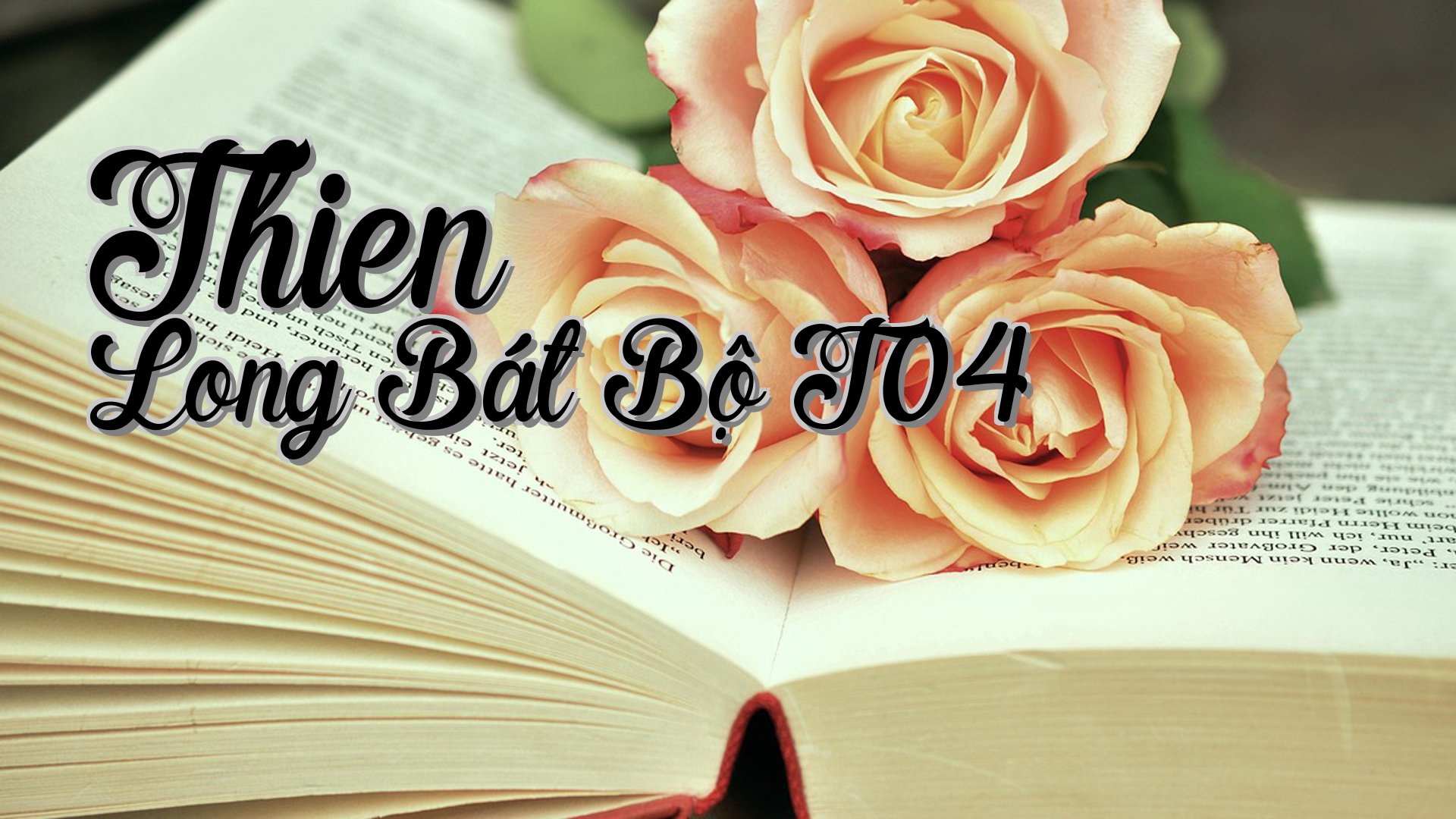 cover-Thien Long Bát Bộ T04