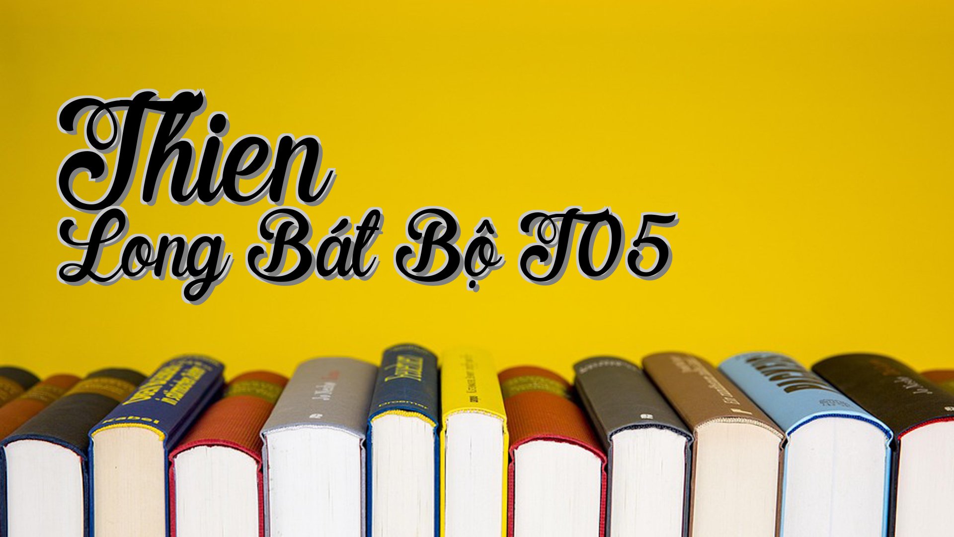 cover-Thien Long Bát Bộ T05