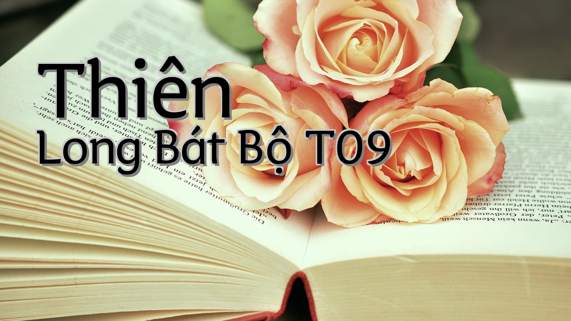 cover-Thiên Long Bát Bộ T09