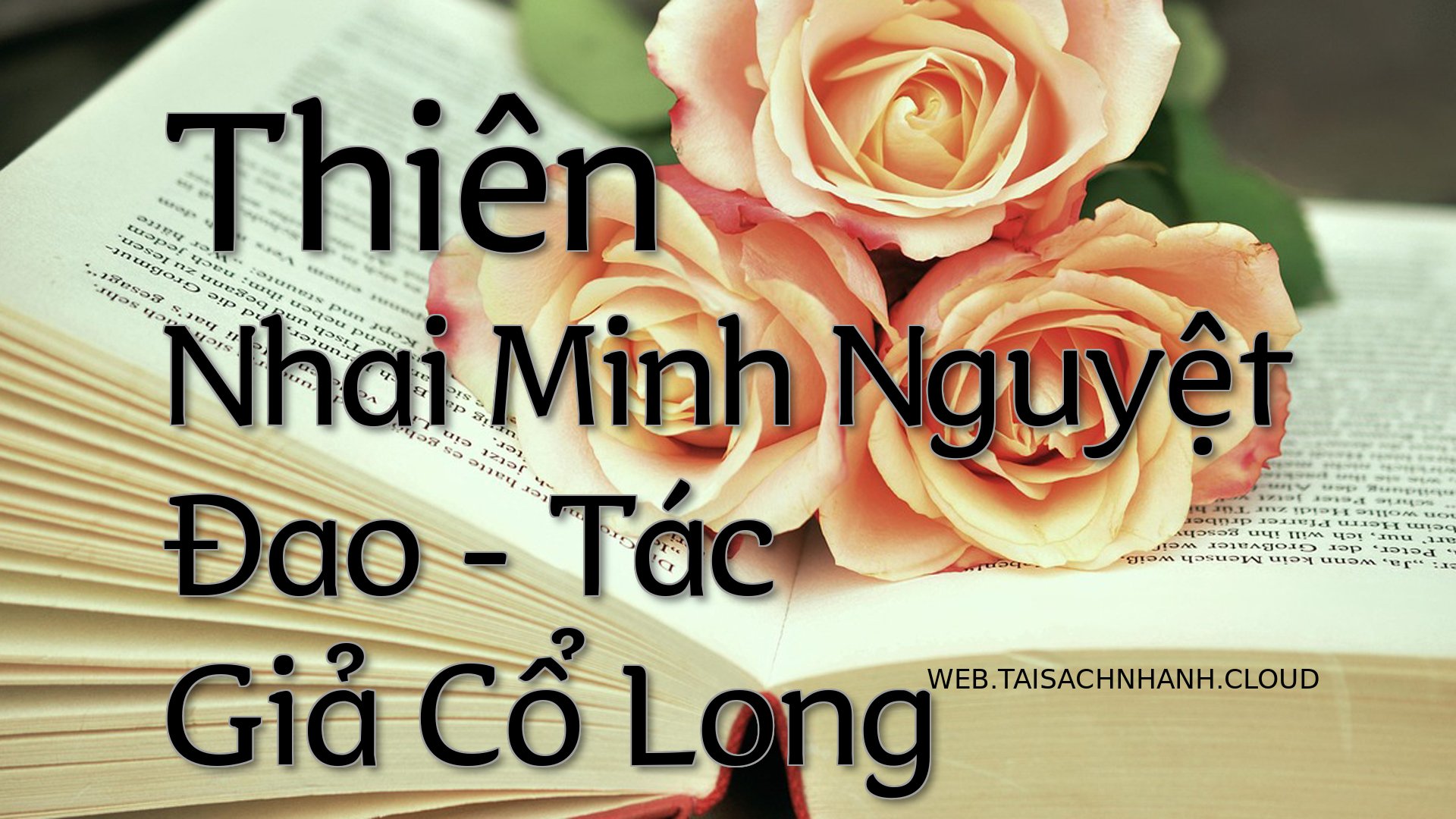 Cover Thien Nhai Minh Nguy.jpg