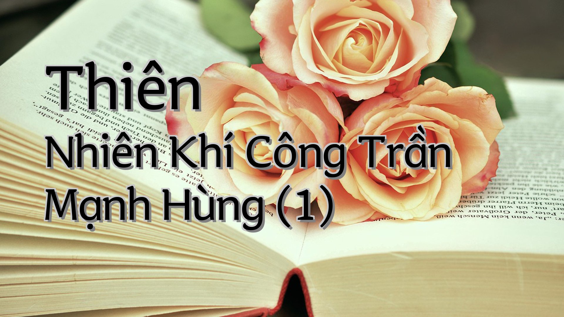 cover-Thiên Nhiên Khí Công Trần Mạnh Hùng (1)