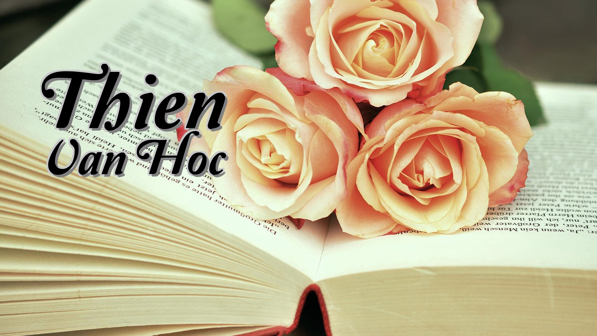 cover-Thien Van Hoc