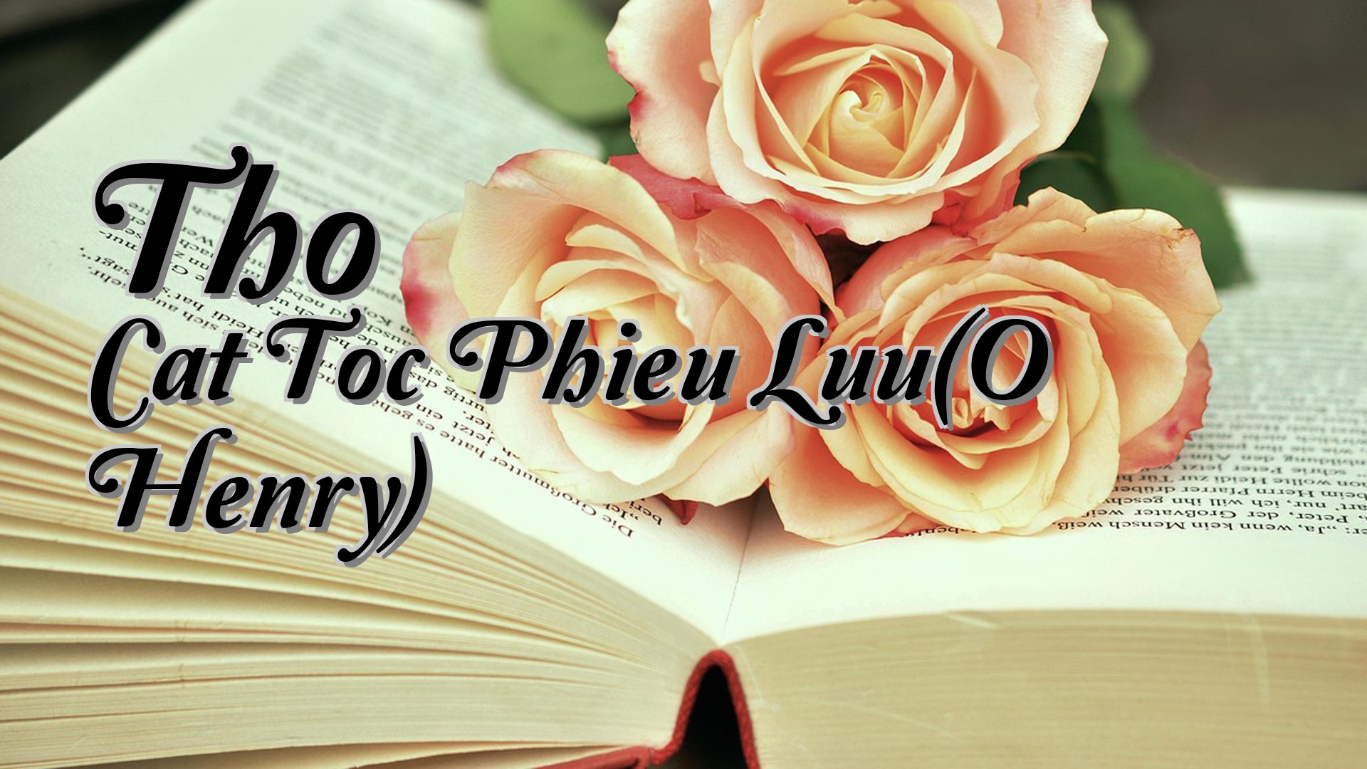 cover-Tho Cat Toc Phieu Luu(O Henry)