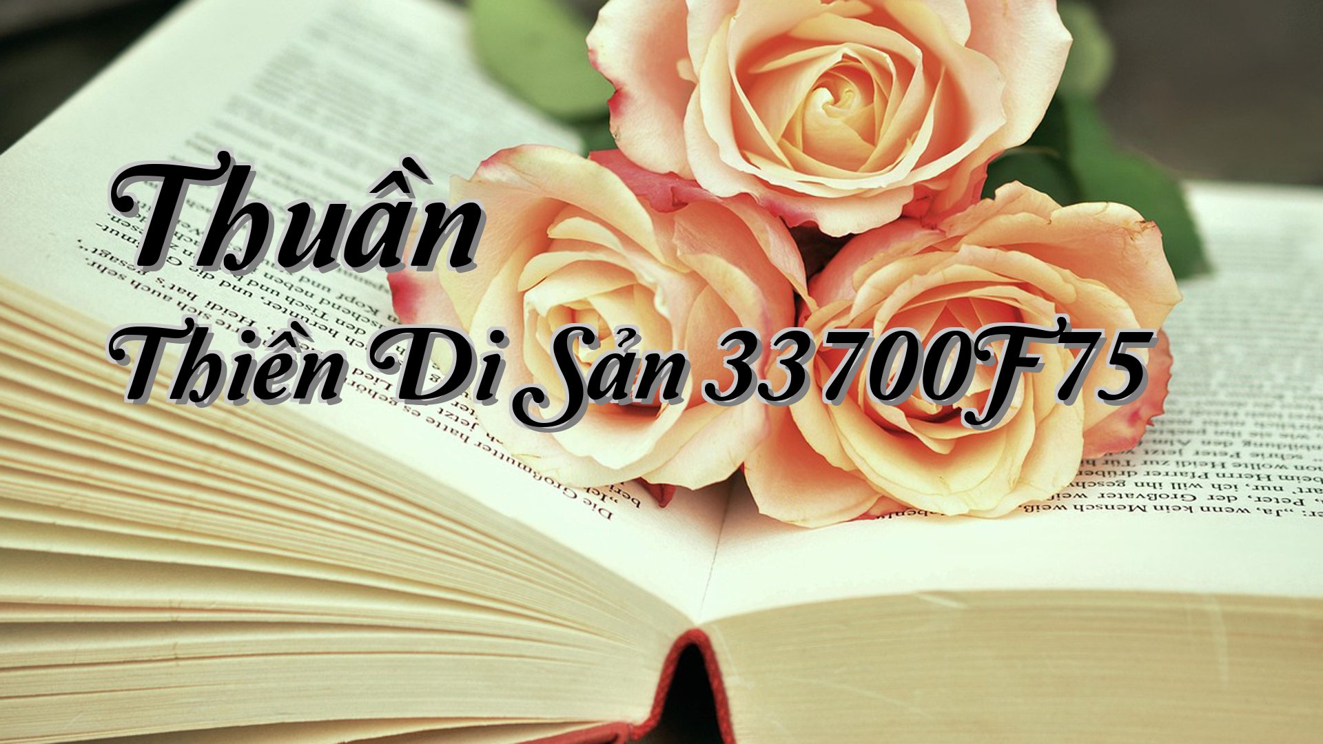 cover-Thuần Thiền Di Sản 33700F75