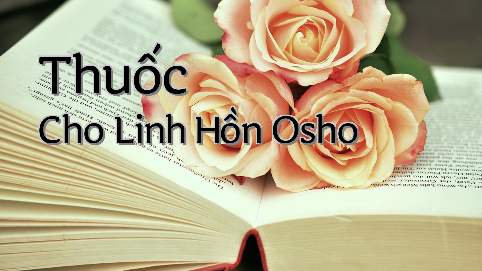 cover-Thuốc Cho Linh Hồn Osho