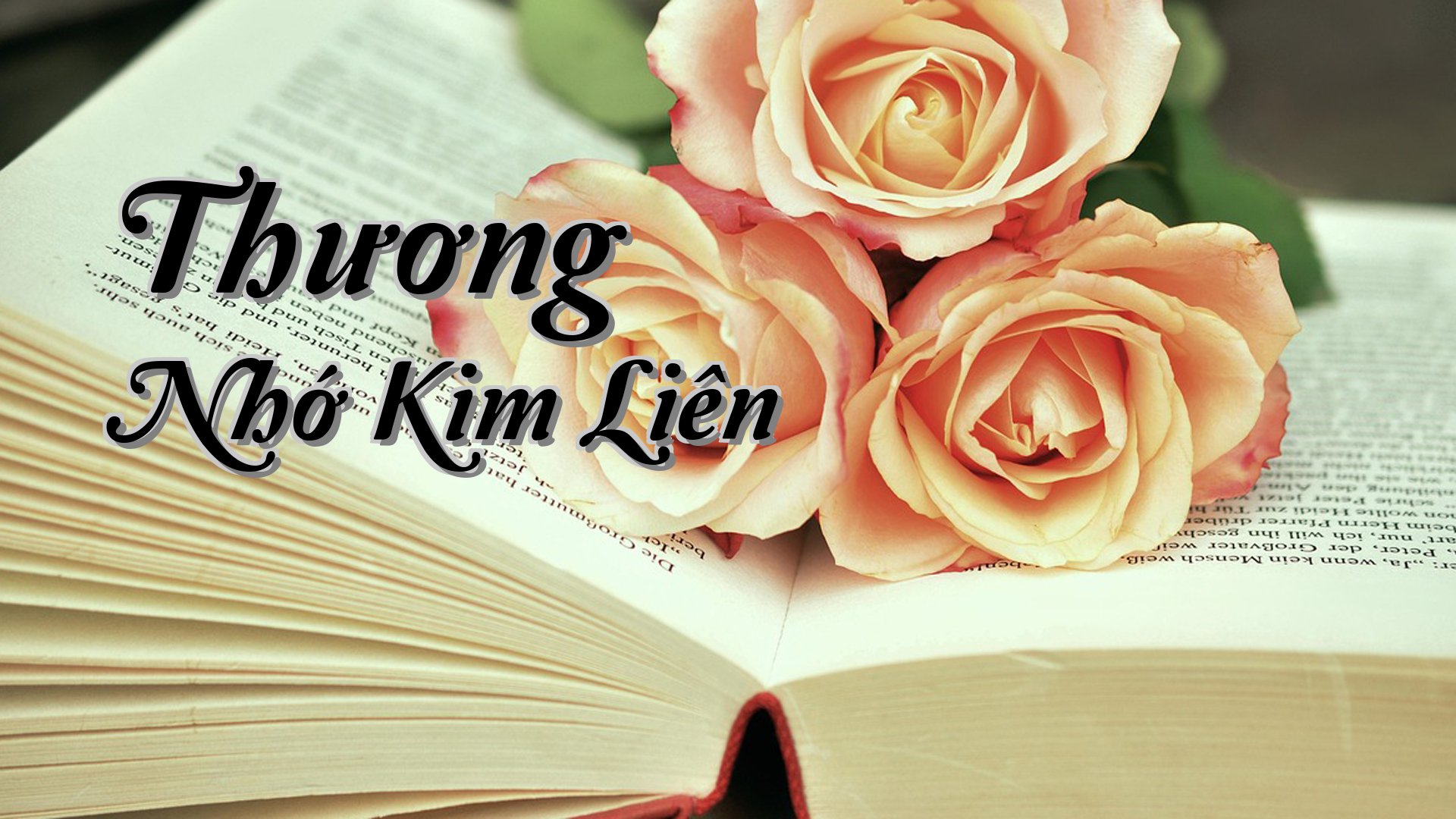 cover-Thương Nhớ Kim Liên